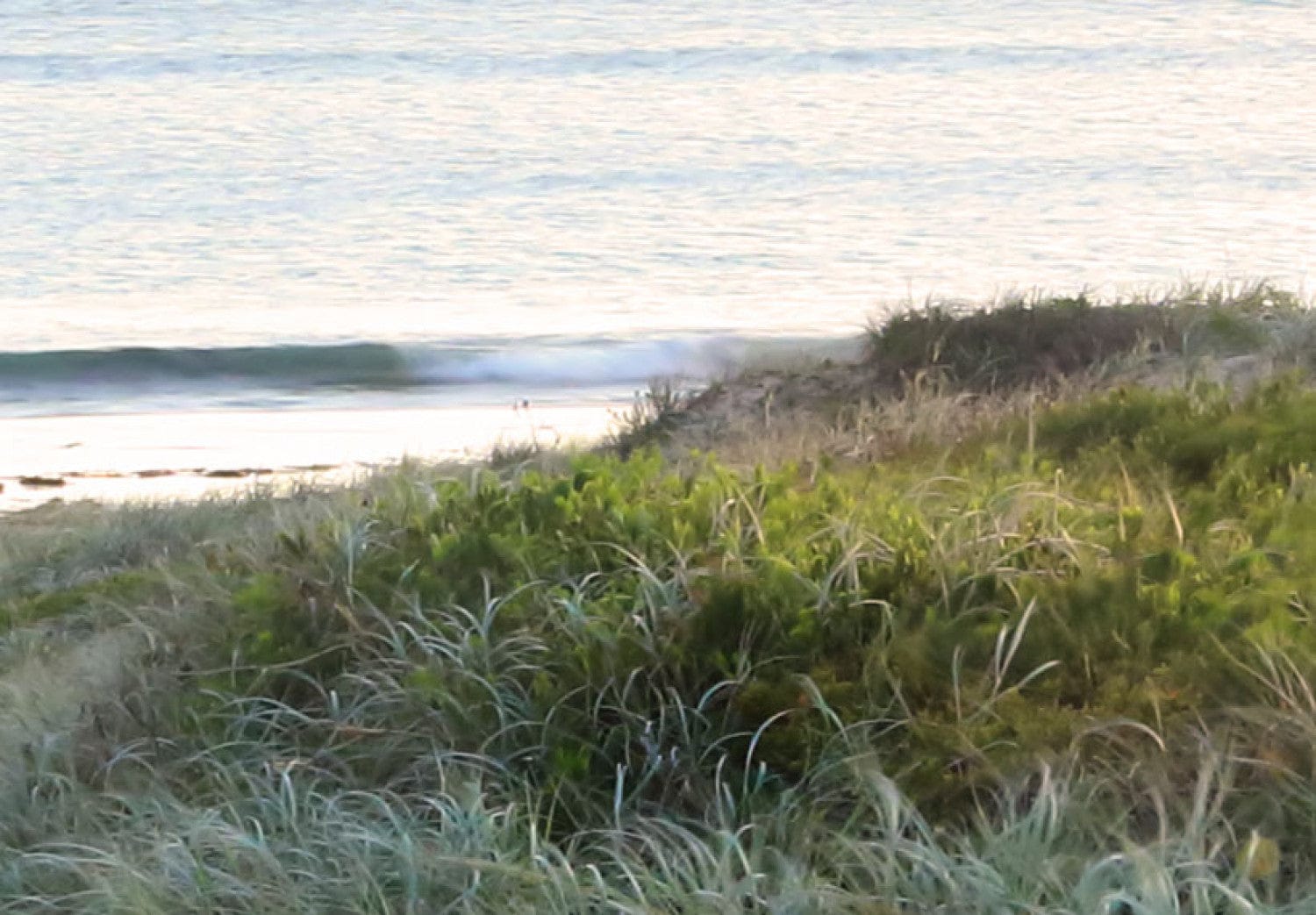 Glezna - Baltijas jūra no rīta Home Trends