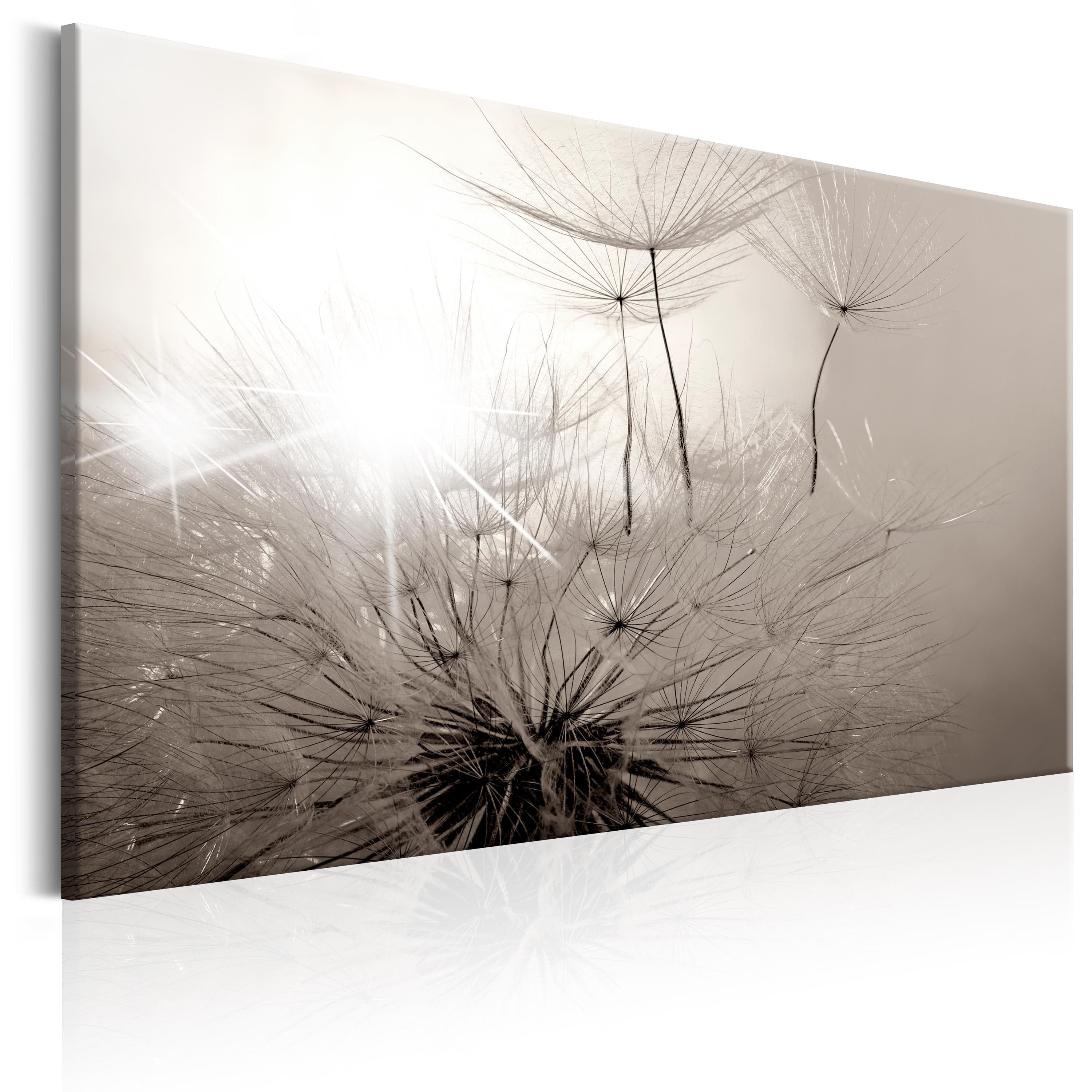 Glezna - Beautiful Summer_ Dandelions Home Trends