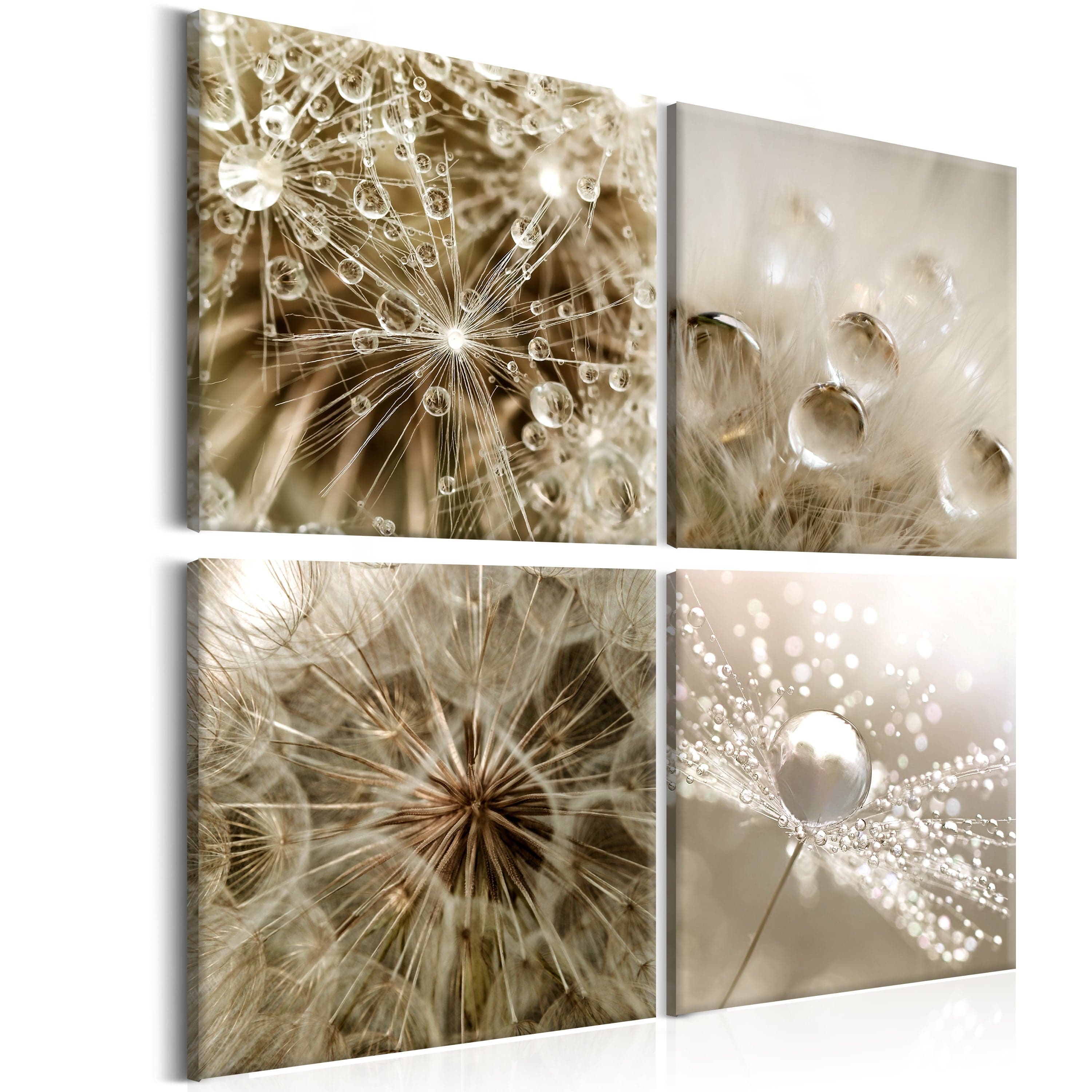 Glezna - Beige Summer Home Trends