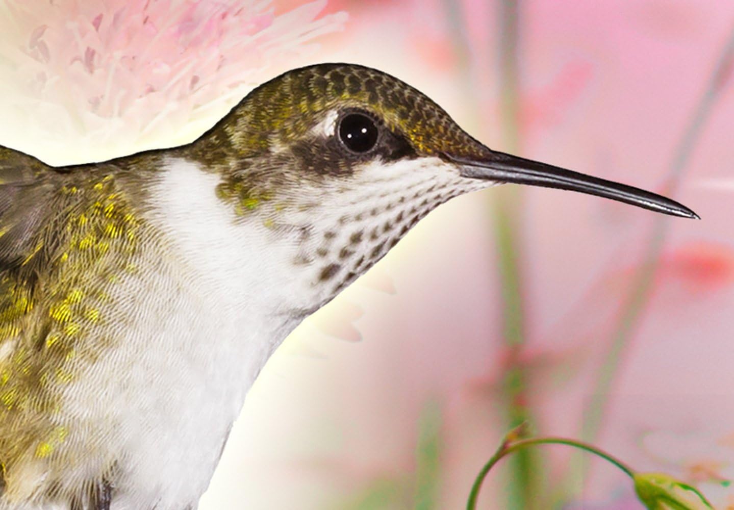 Kanva - Colourful Nature, (5 daļas) 225x100 Home Trends