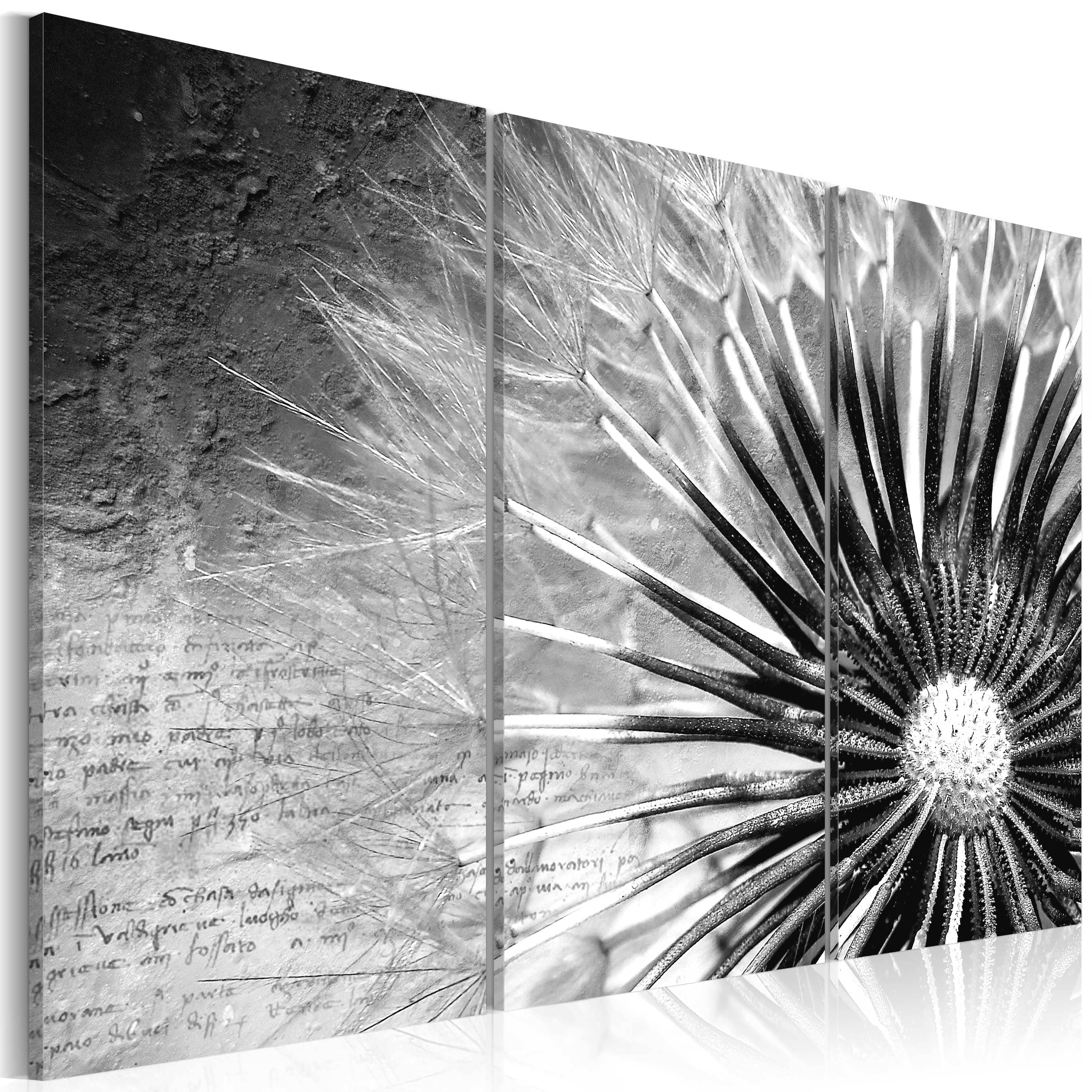 Glezna - dandelion (black and white) Home Trends