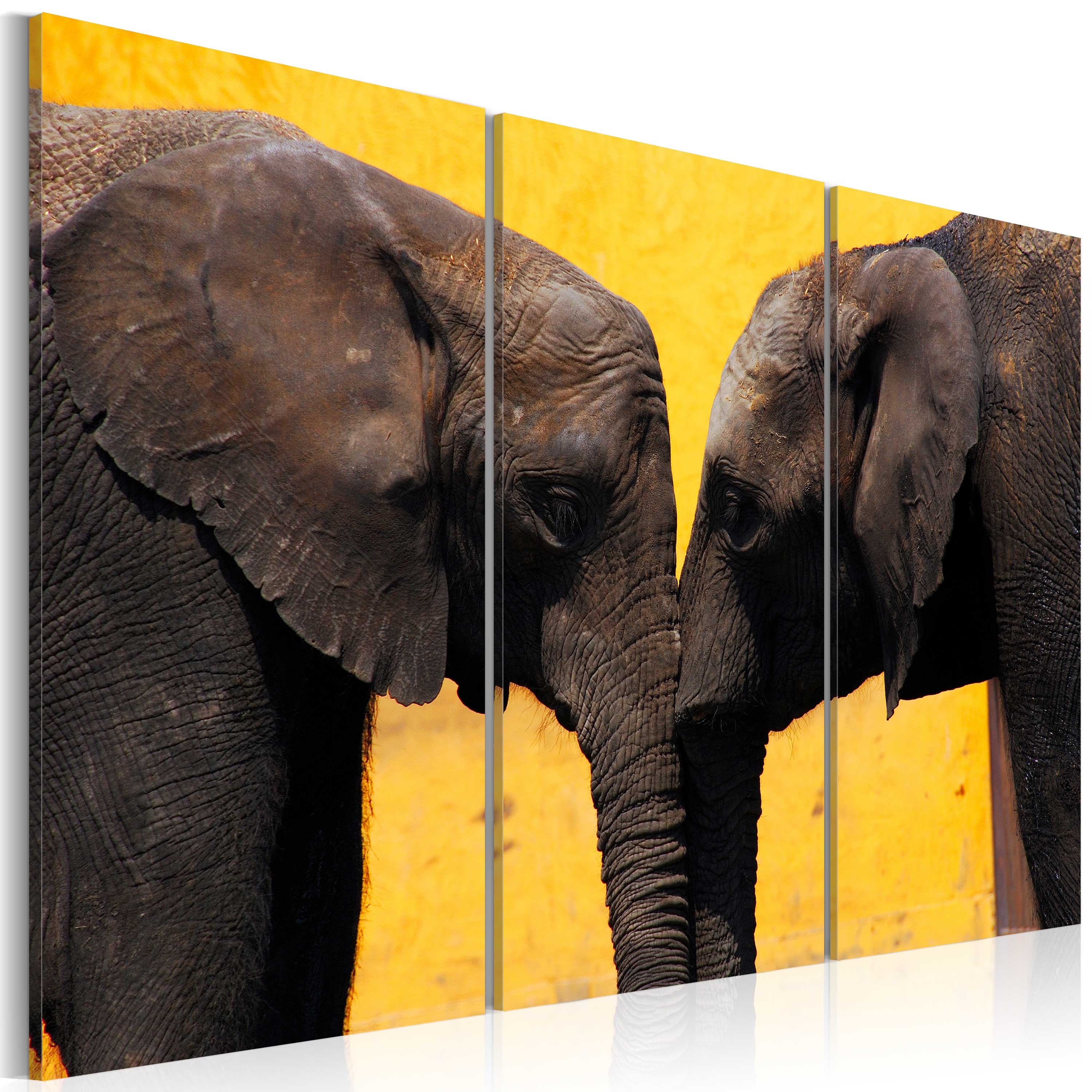Glezna - Elephant kiss Home Trends