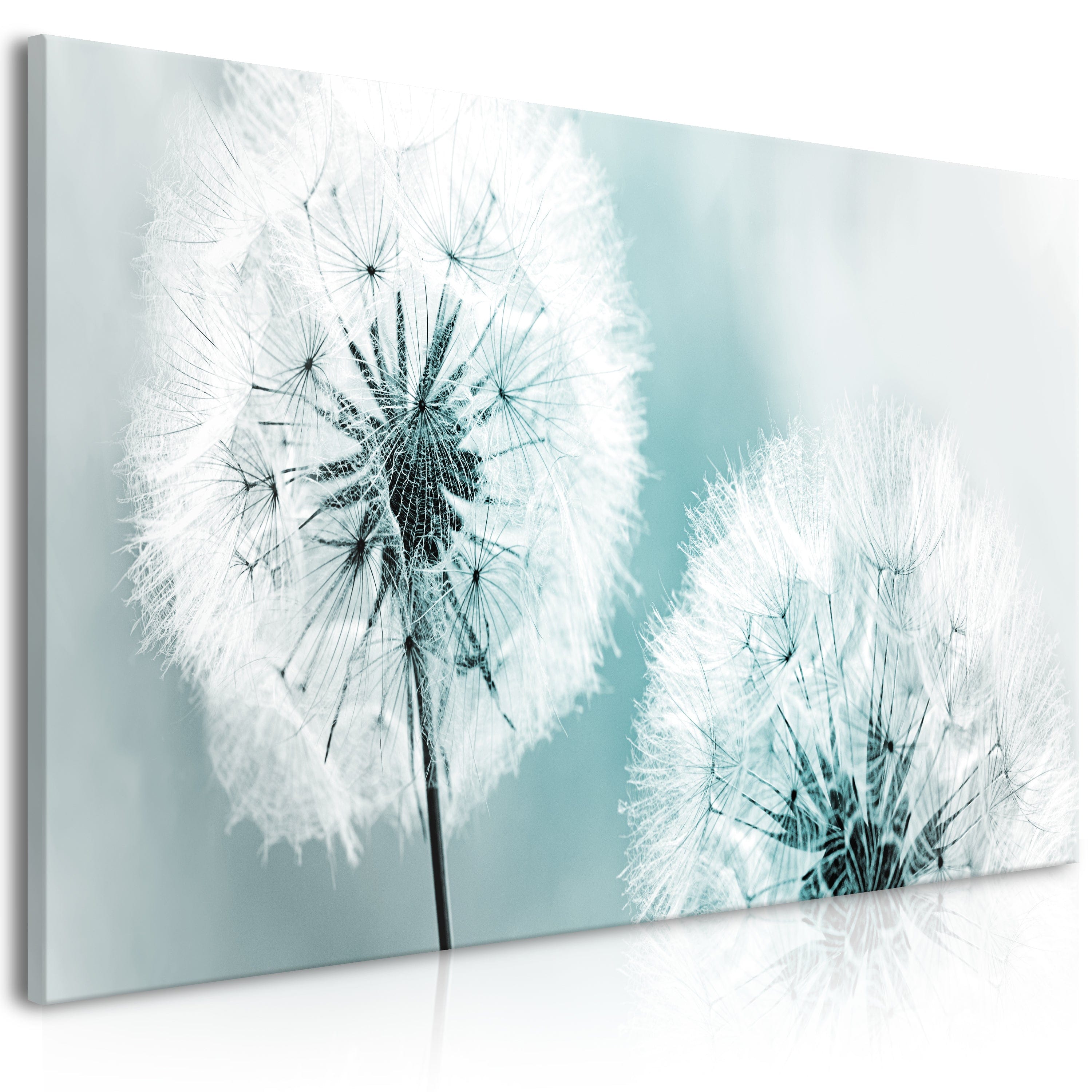 Glezna - Fluffy Dandelions (1 Part) Blue Wide 100x45 Home Trends