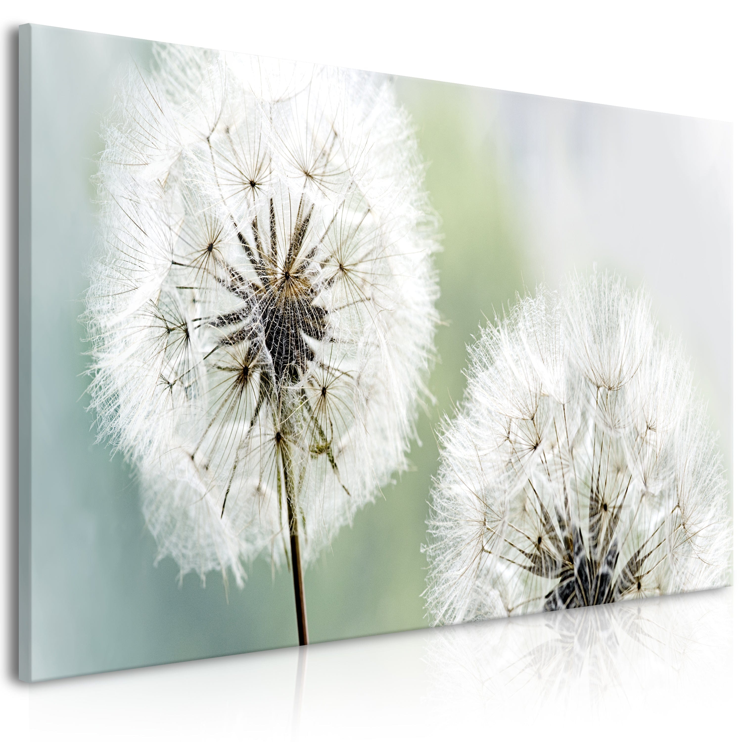 Glezna - Fluffy Dandelions (1 Part) Green Wide 100x45 Home Trends