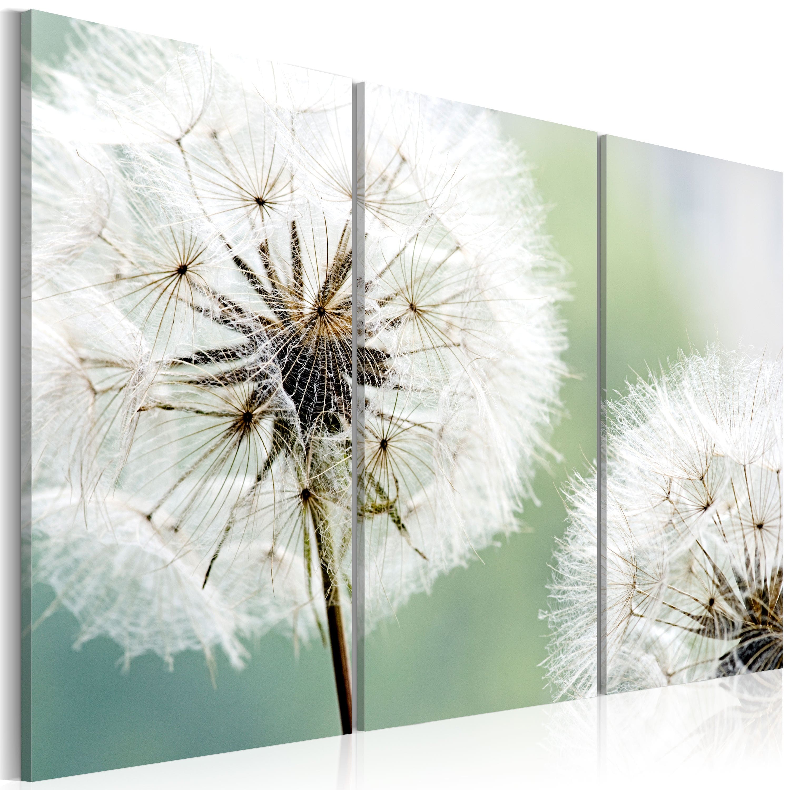 Glezna - Fluffy dandelions Home Trends