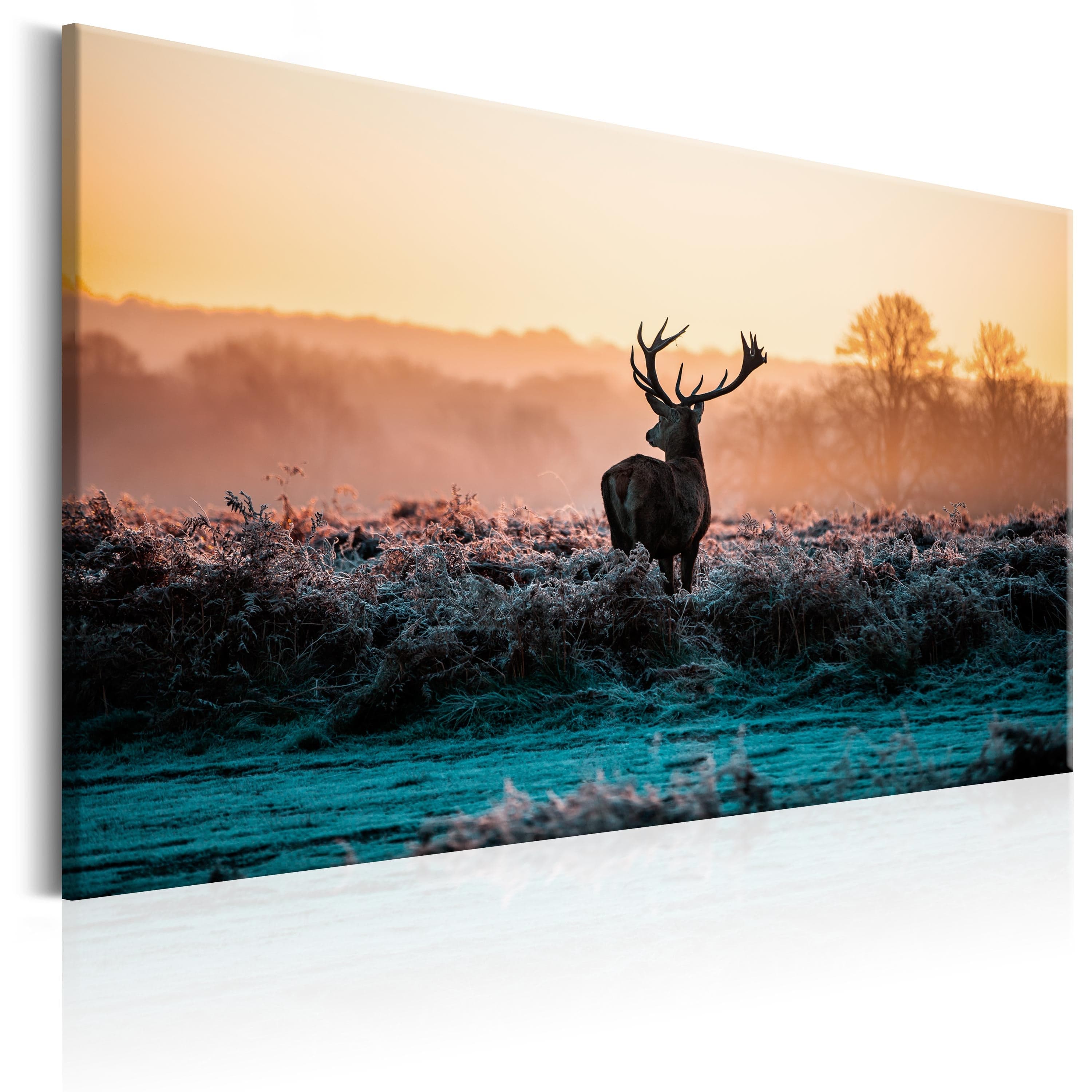 Glezna - Frosted Field Home Trends