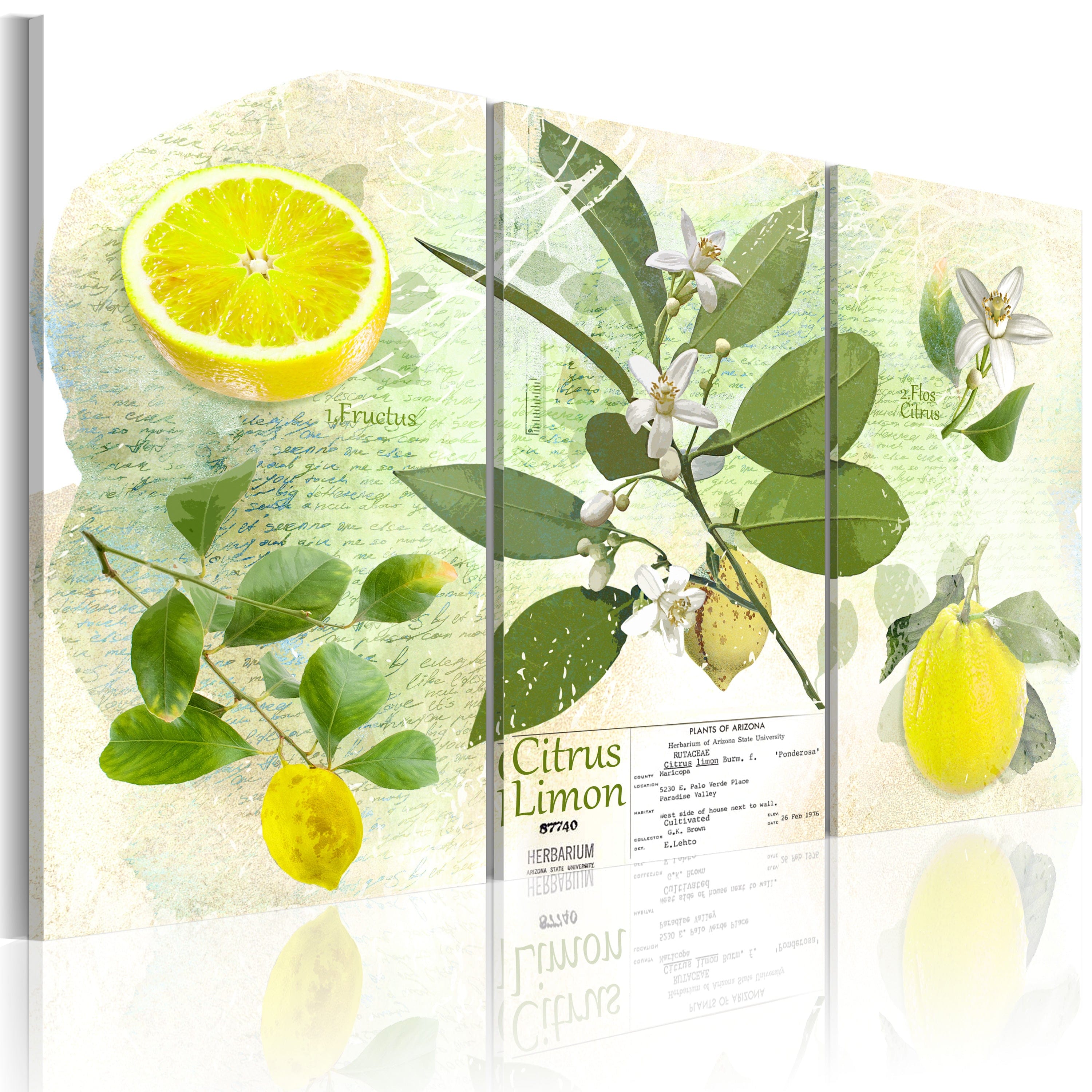 Glezna - Fruit_ lemon Home Trends