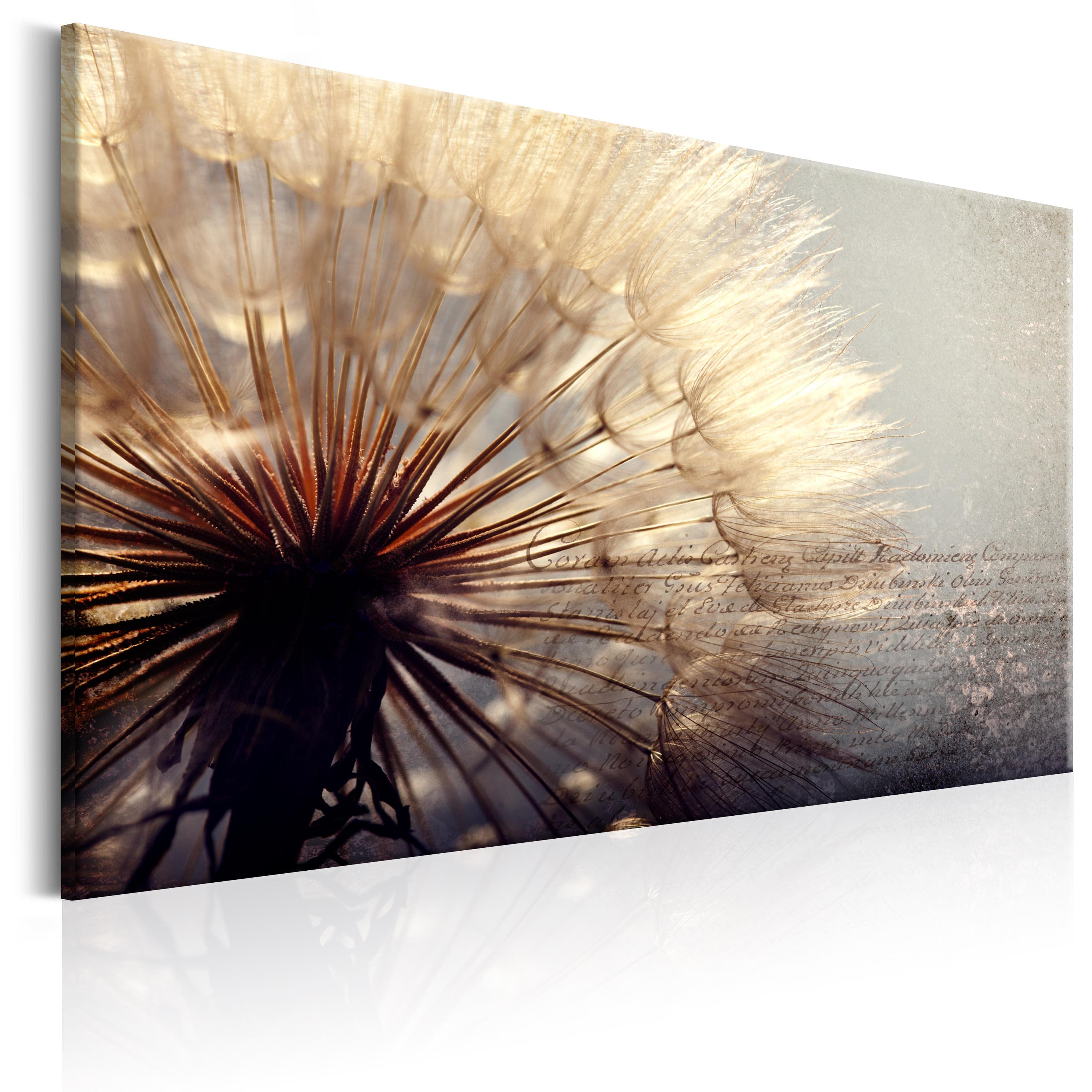 Glezna - Gentleness of Summer Home Trends