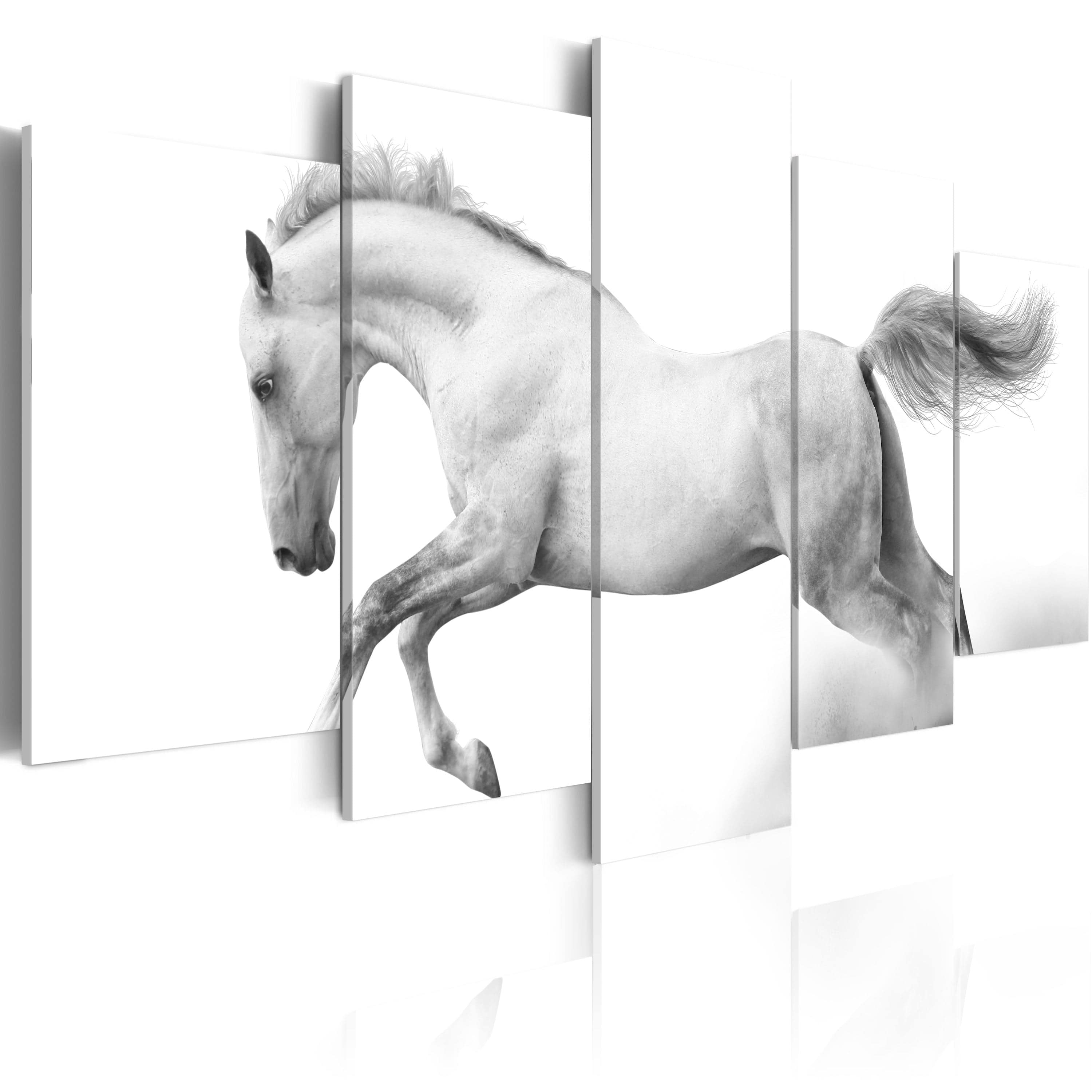 Glezna - Horse- passion and freedom Home Trends