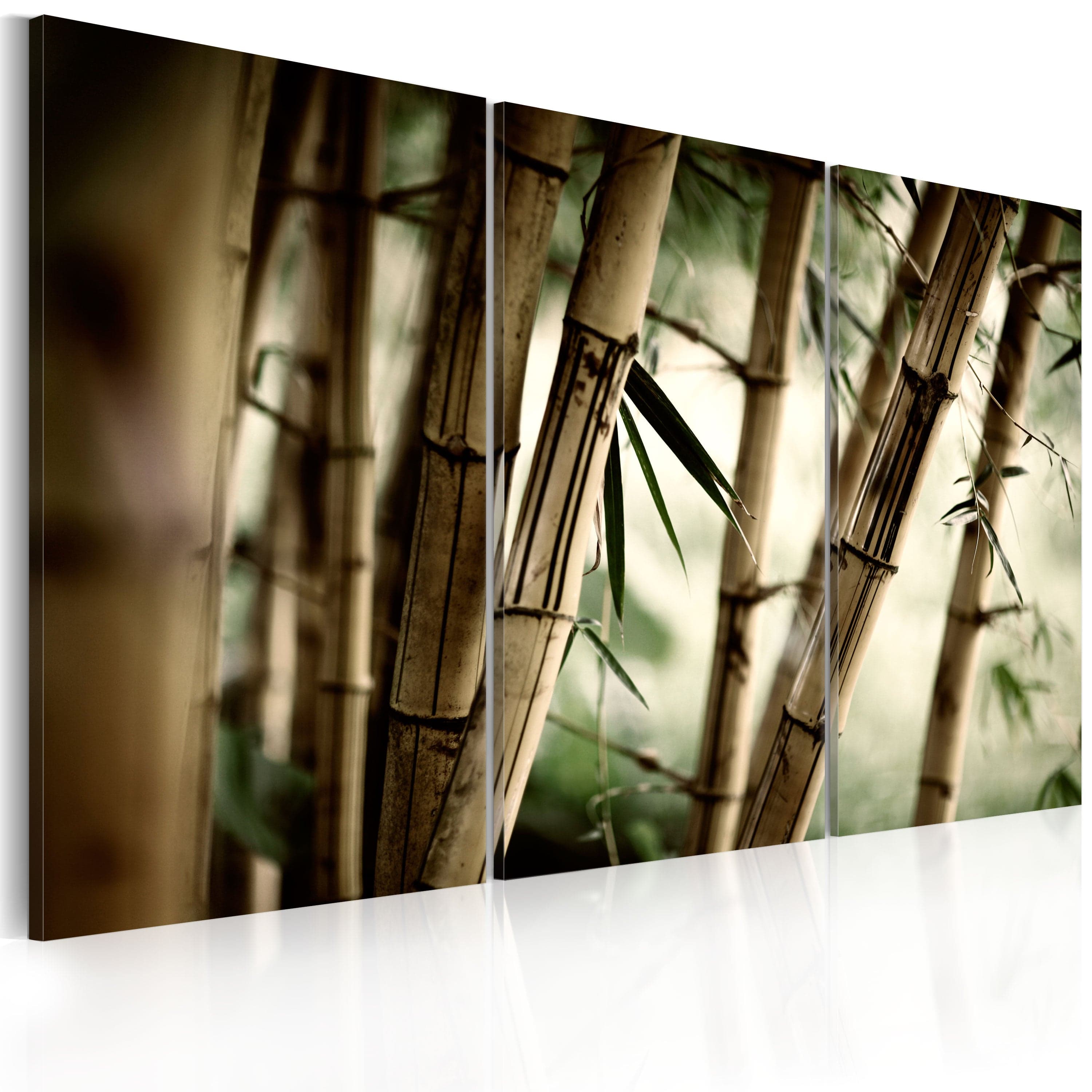 Glezna - In a tropical forest Home Trends