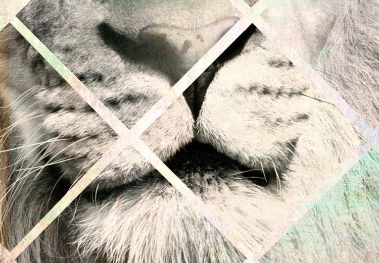 Glezna - Lion Dreams (3 Part) Home Trends