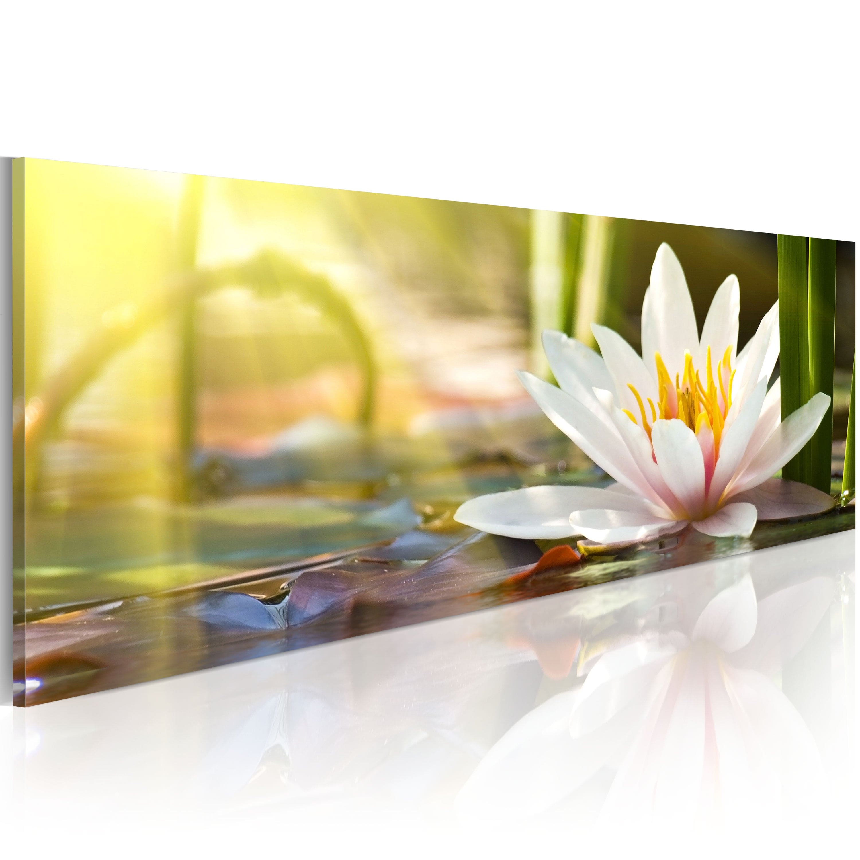 Glezna - Lotus' Glow Home Trends