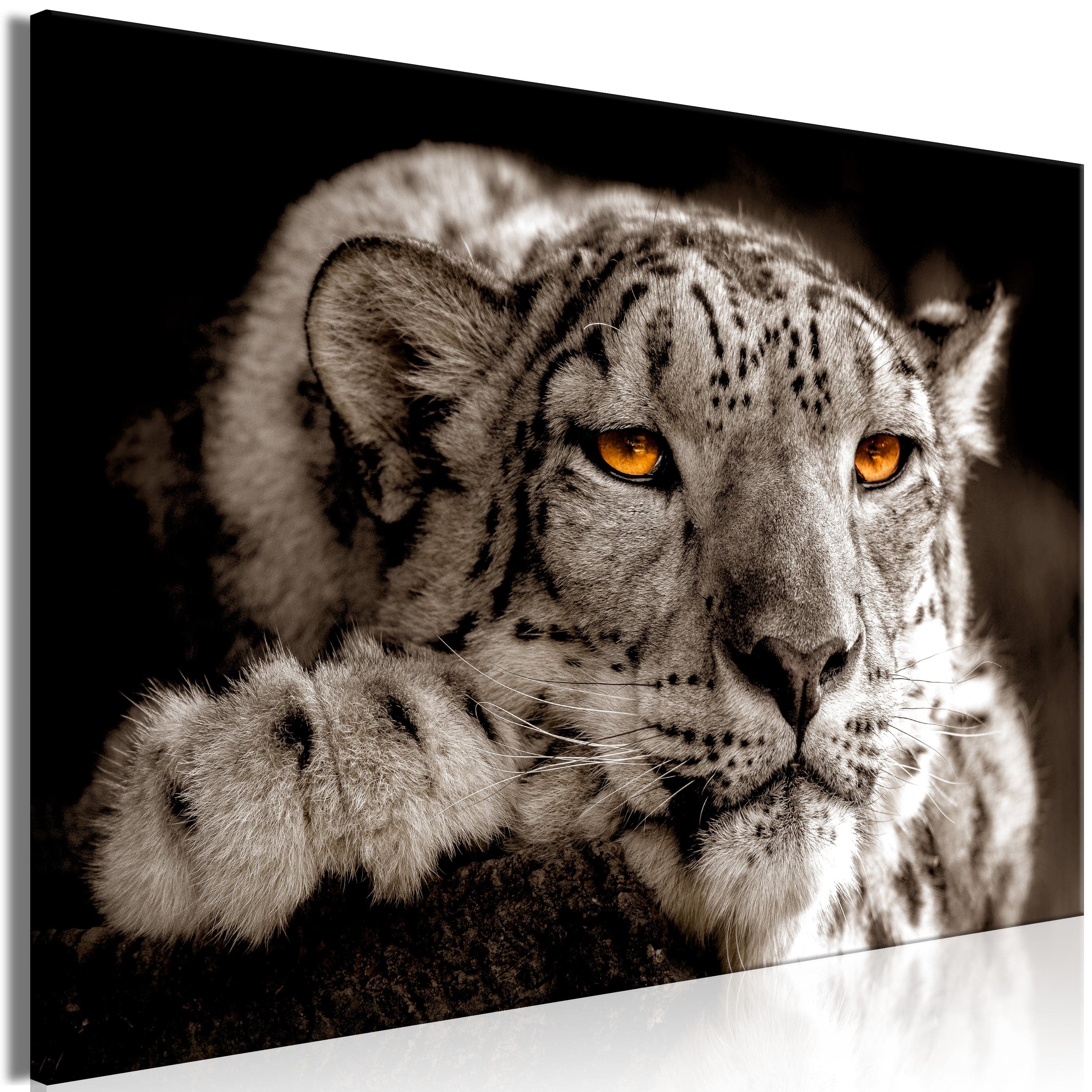 Glezna - Magic Eyes (1 Part) Wide Home Trends