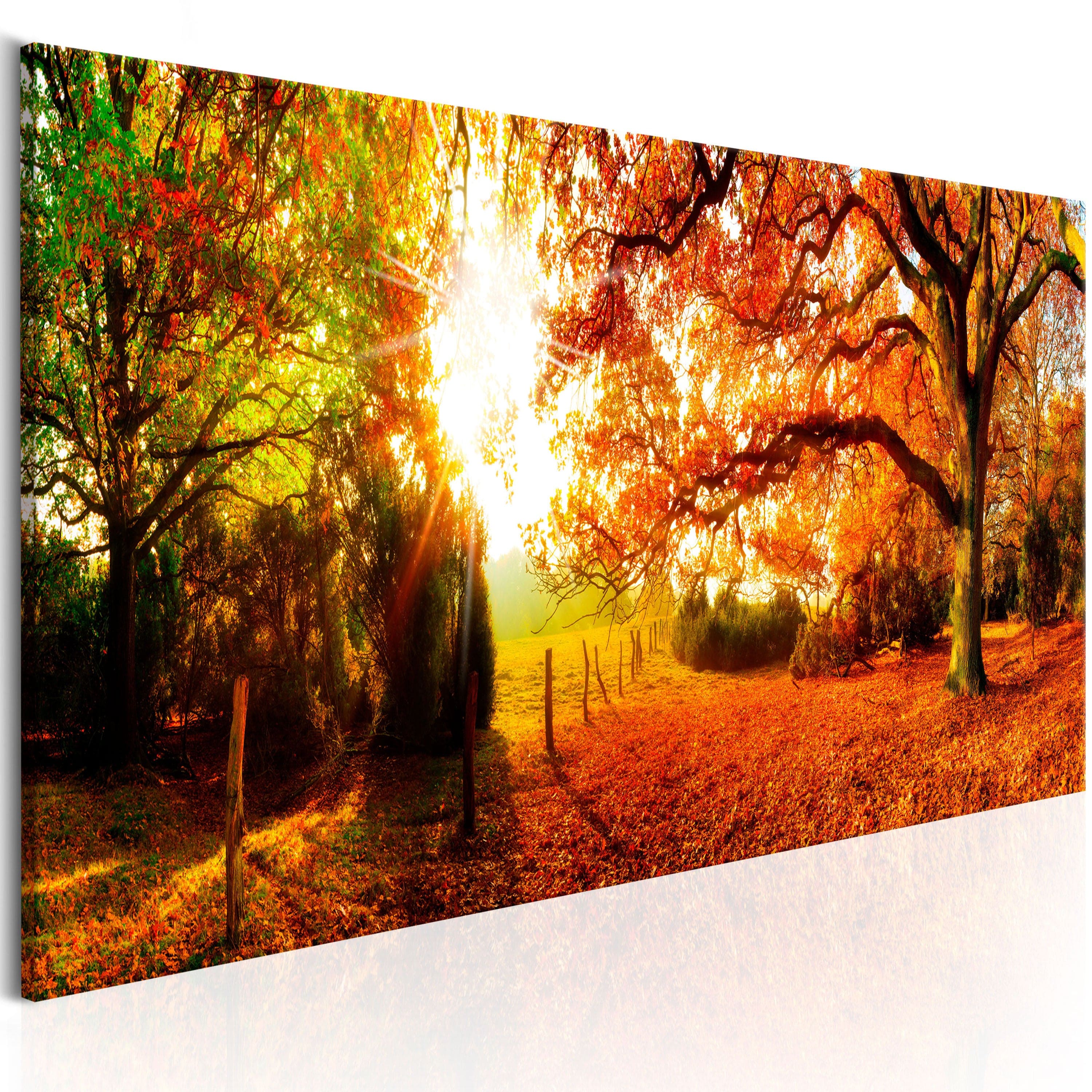 Glezna - Magic of Autumn Home Trends