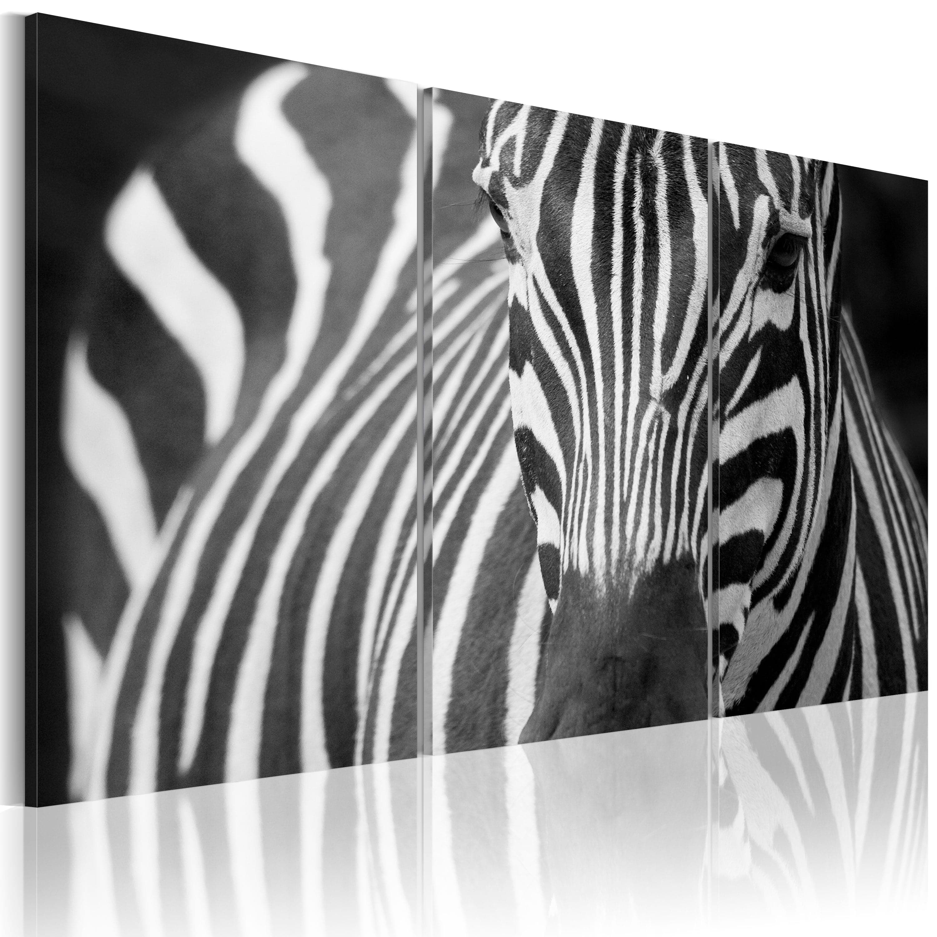 Glezna - Mrs. Zebra Home Trends