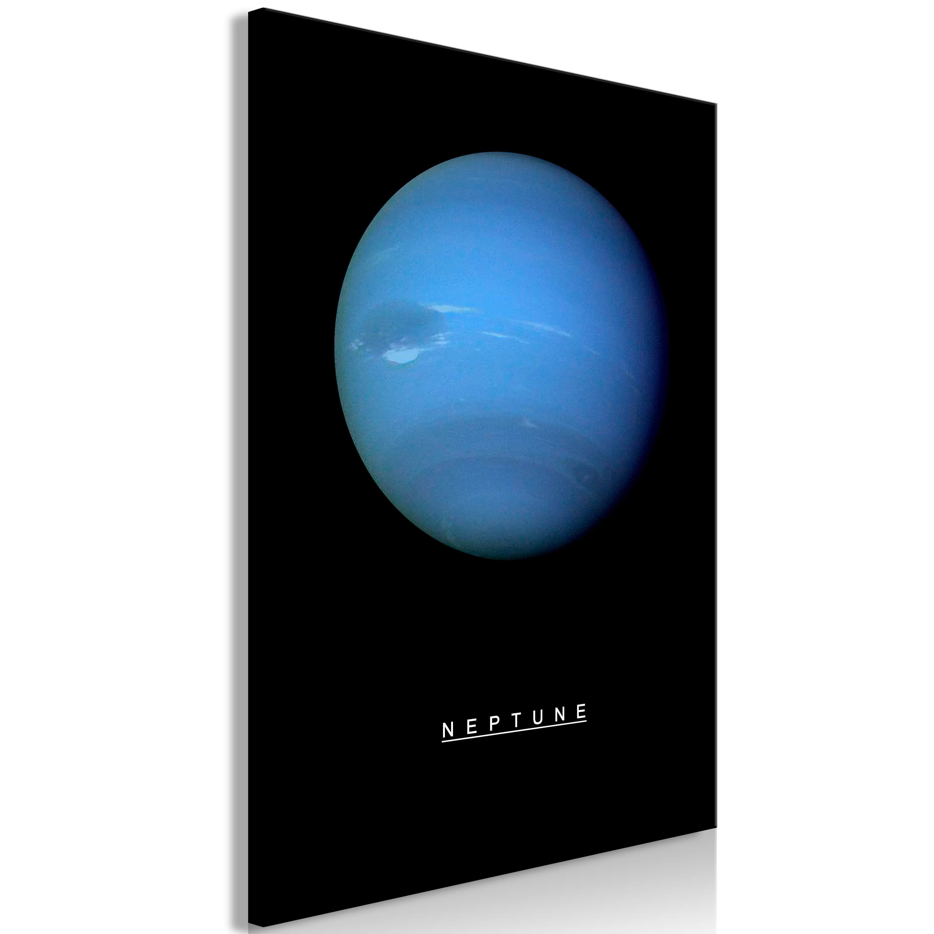 Glezna - Neptune (1 Part) Vertical Home Trends