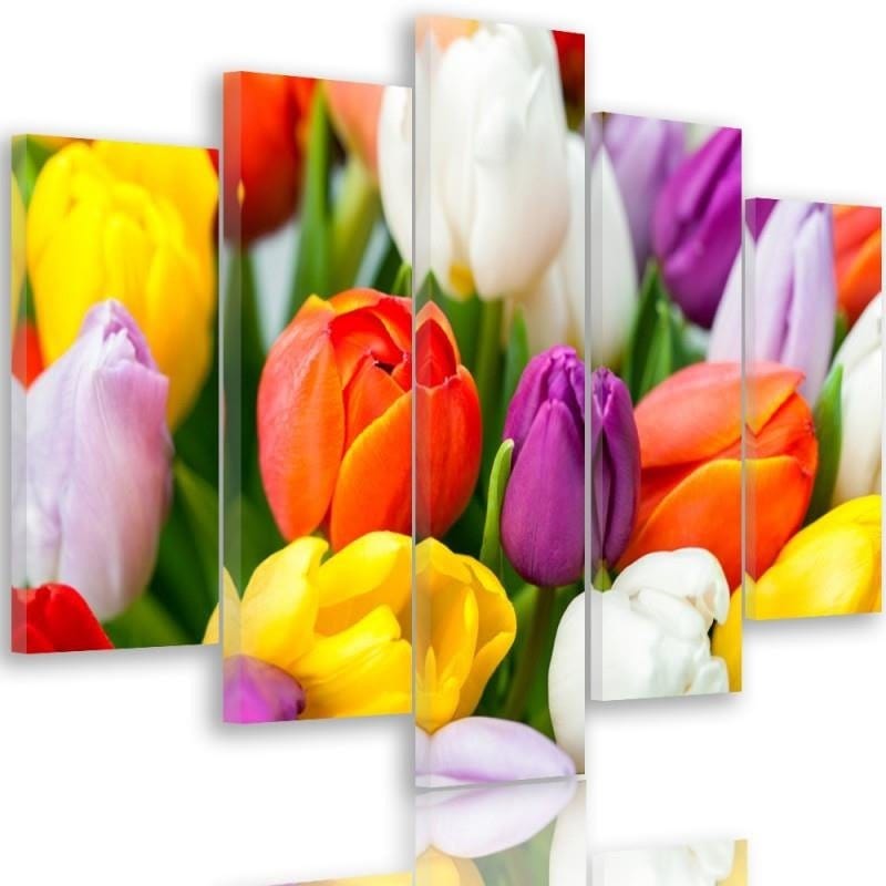 Kanva no 5 daļām - Type A, Colorful Tulips Home Trends DECO