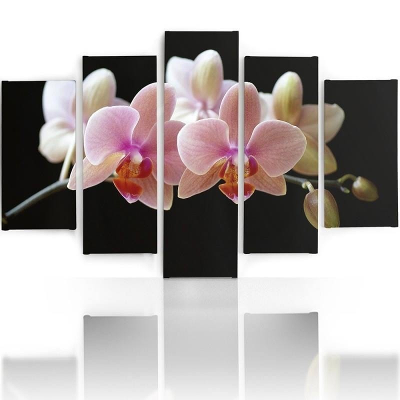 Kanva no 5 daļām - Type A, Pink Orchid Home Trends DECO