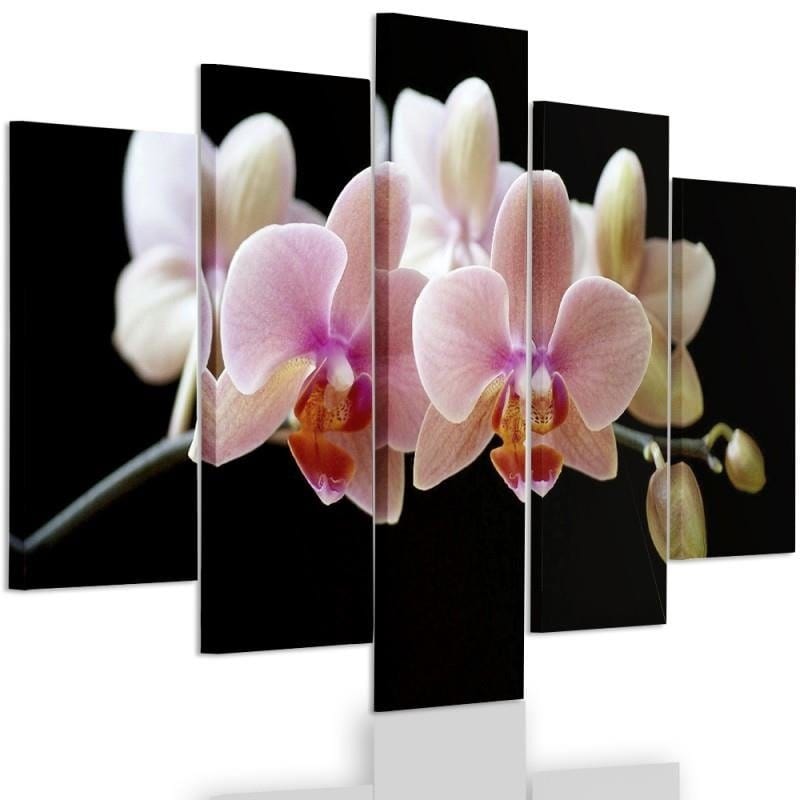 Kanva no 5 daļām - Type A, Pink Orchid Home Trends DECO