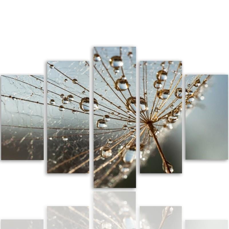 Kanva no 5 daļām - Type A, Spider Web And Dew Drops Home Trends DECO