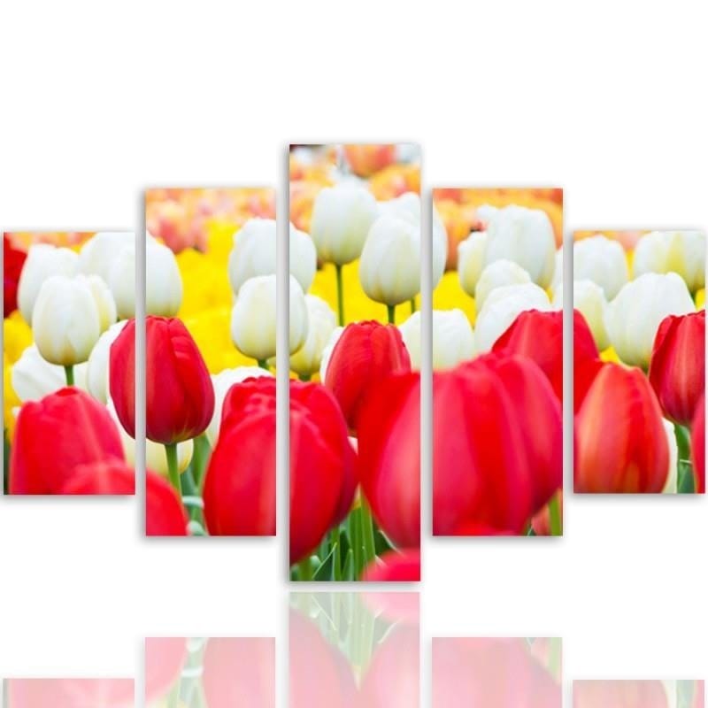 Kanva no 5 daļām - Type A, White And Red Tulips Home Trends DECO