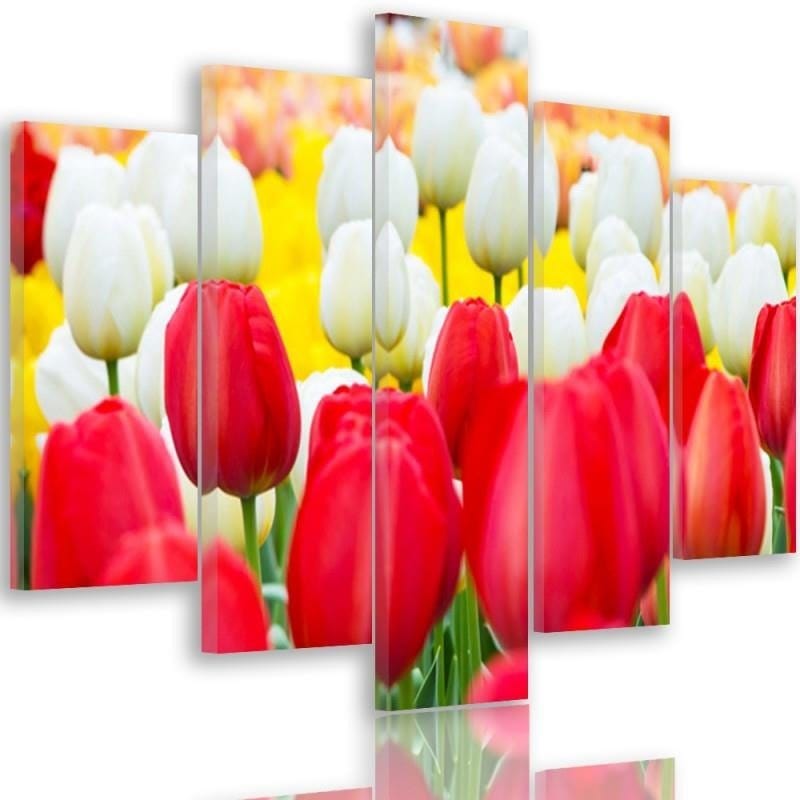 Kanva no 5 daļām - Type A, White And Red Tulips Home Trends DECO