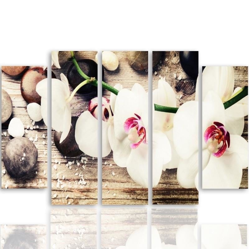 Kanva no 5 daļām - Type B, A White Orchid And Stones Home Trends DECO
