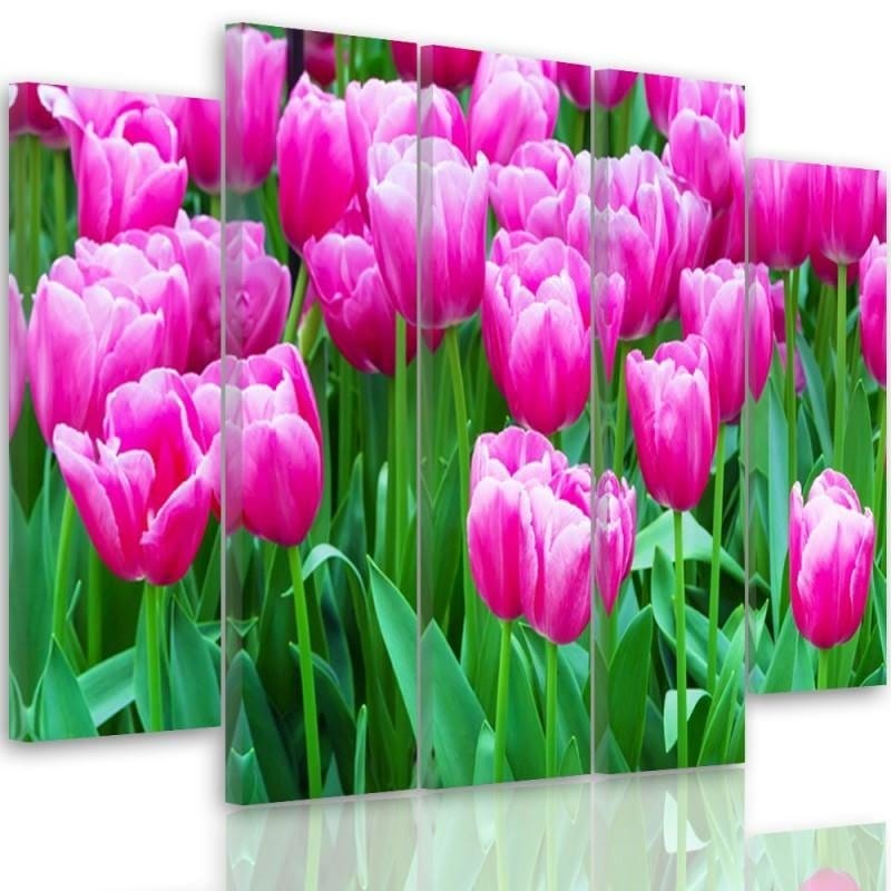 Kanva no 5 daļām - Type B, Pink Tulips 1 Home Trends DECO
