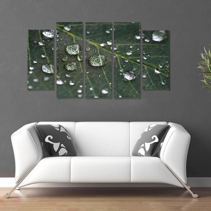 Kanva no 5 daļām - Type B, Raindrops On A Leaf Home Trends DECO