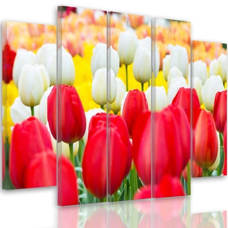 Kanva no 5 daļām - Type B, White And Red Tulips Home Trends DECO