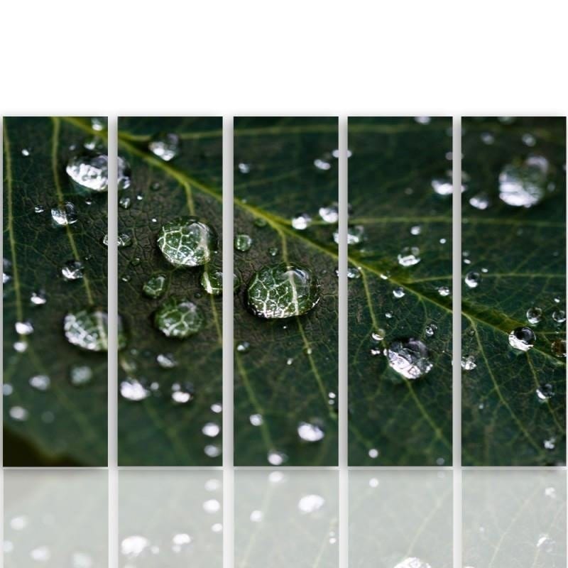 Kanva no 5 daļām - Type C, Rain Drops On A Leaf Home Trends DECO