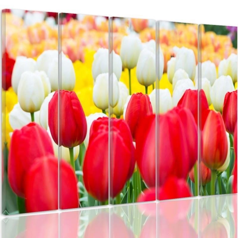 Kanva no 5 daļām - Type C, White And Red Tulips Home Trends DECO