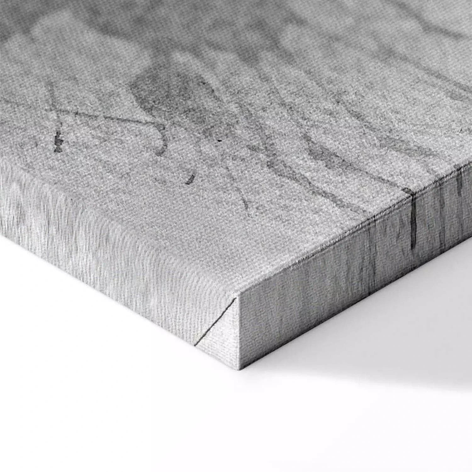 Kanva - Pelēks kaķis ar zilu aci, 123376 Home Trends