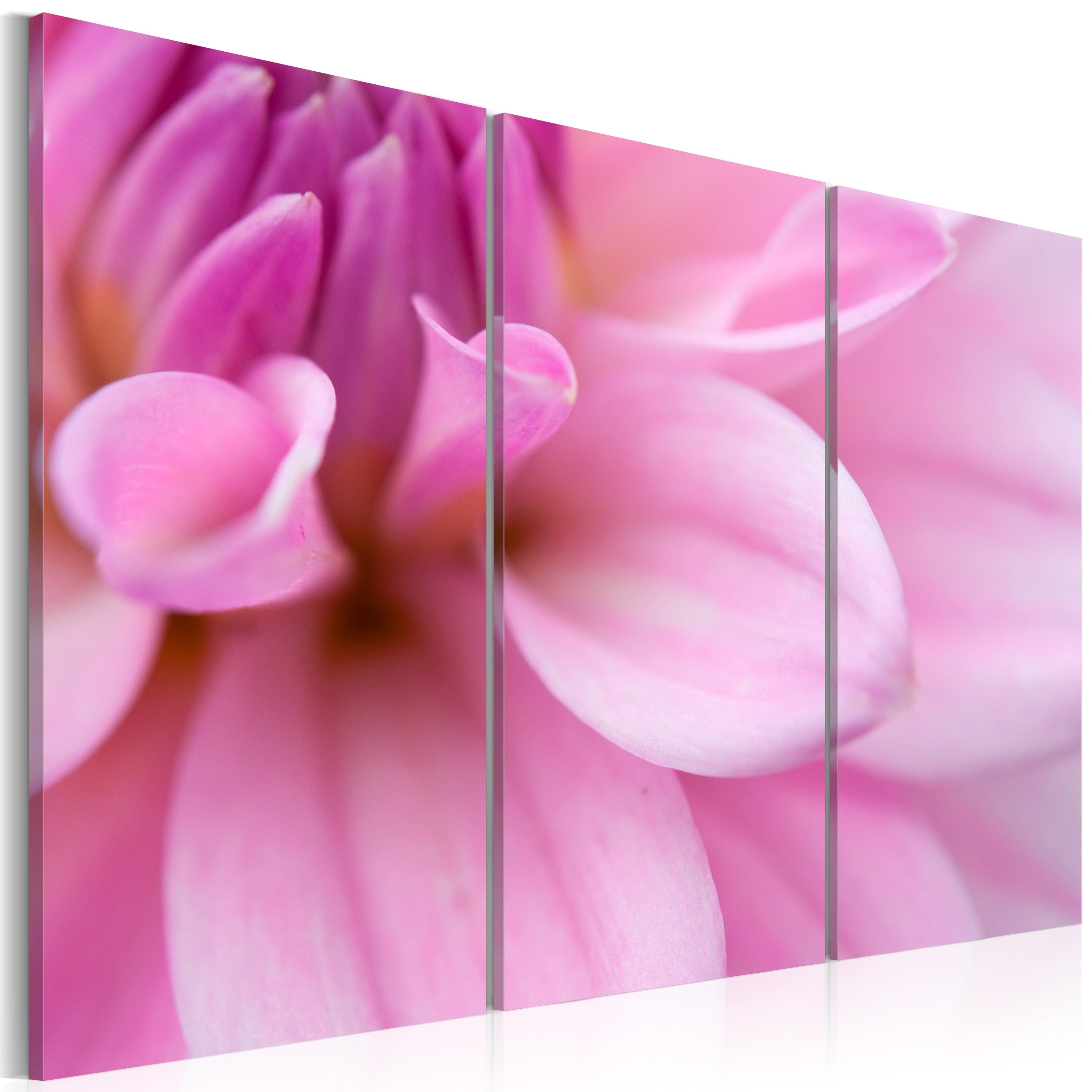 Glezna - Pink dahlia Home Trends