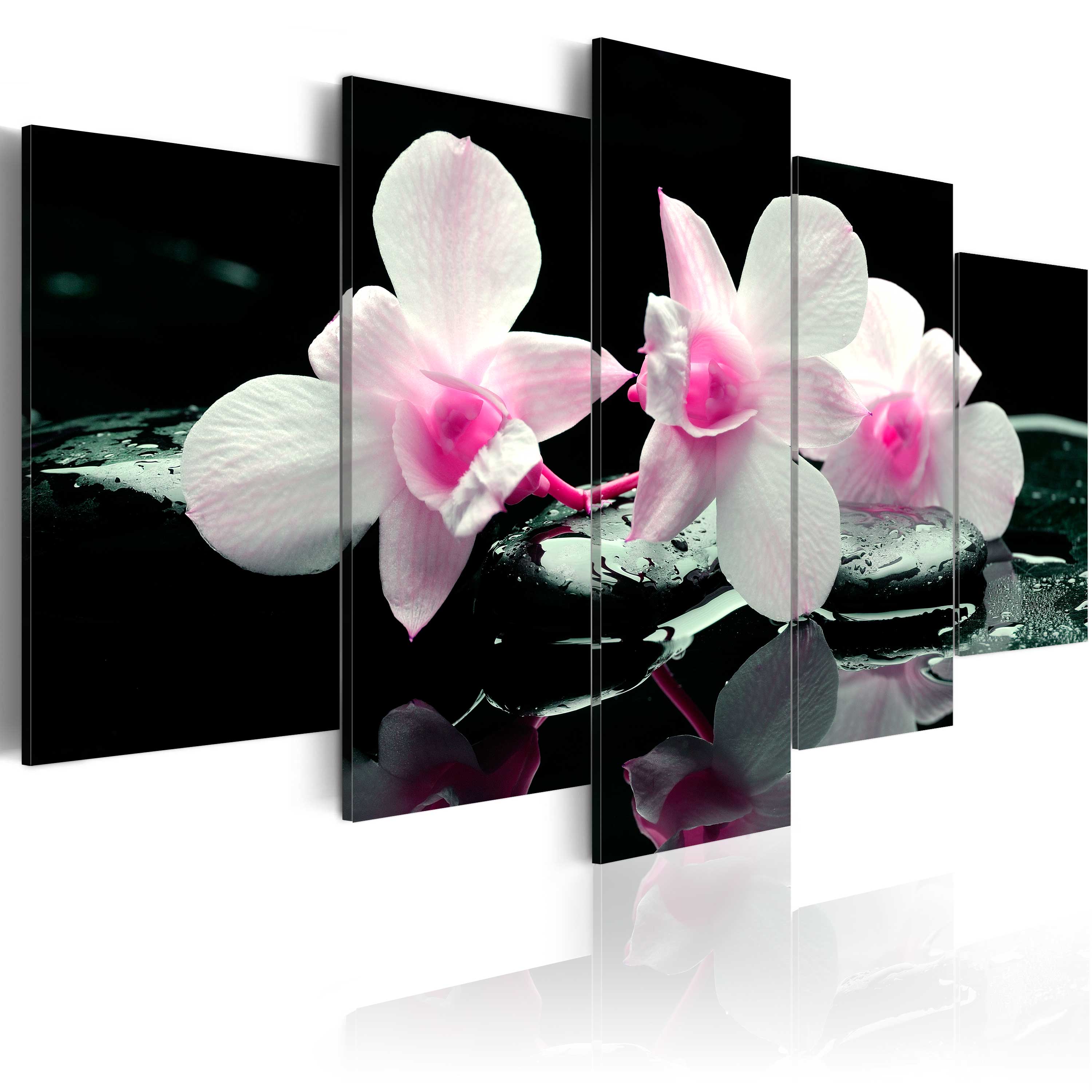 Glezna - Rest of orchids Home Trends