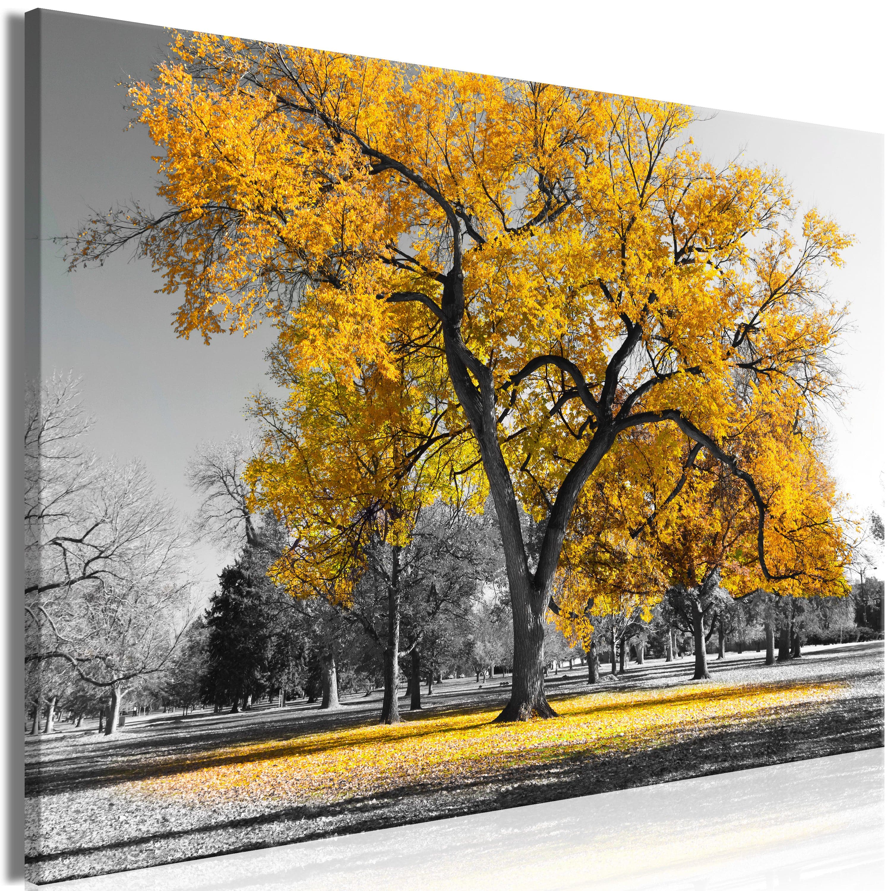 Glezna - Rudens parkā (1 daļa) Plata, zelta Home Trends