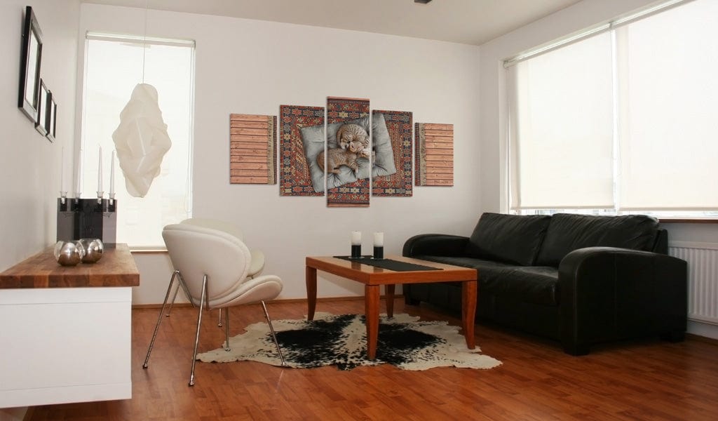 Glezna - Soft kitty, warm kitty, little ball of fur... Home Trends