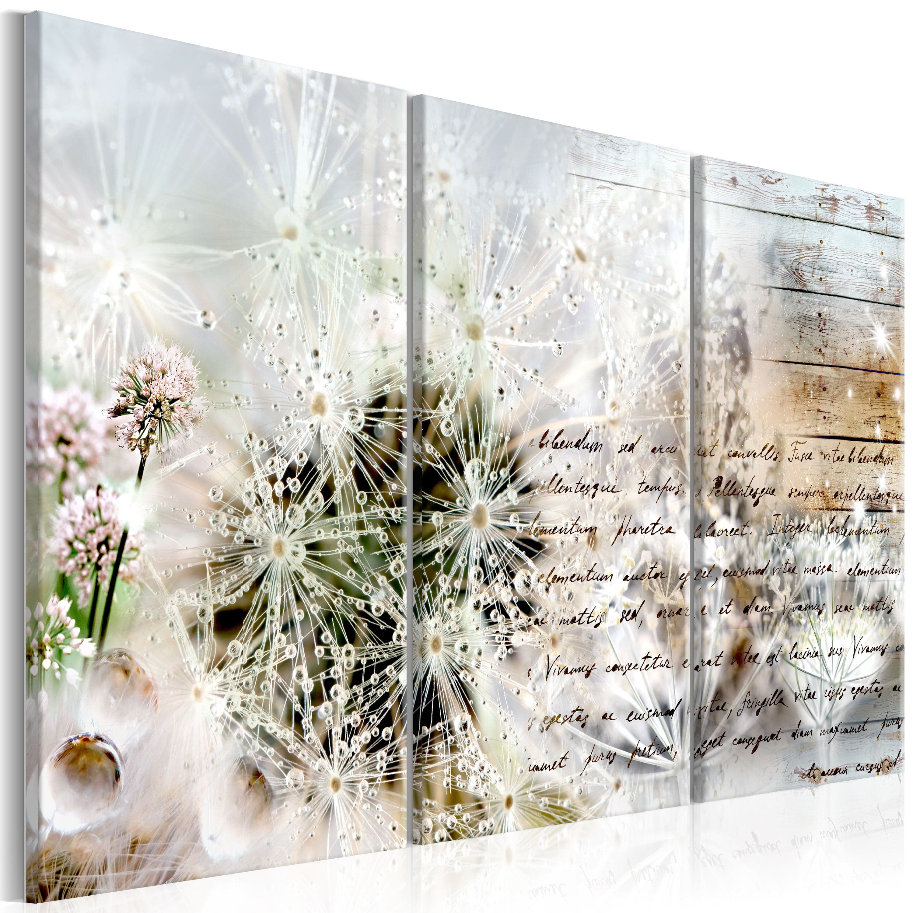 Glezna - Starry Dandelions I Home Trends
