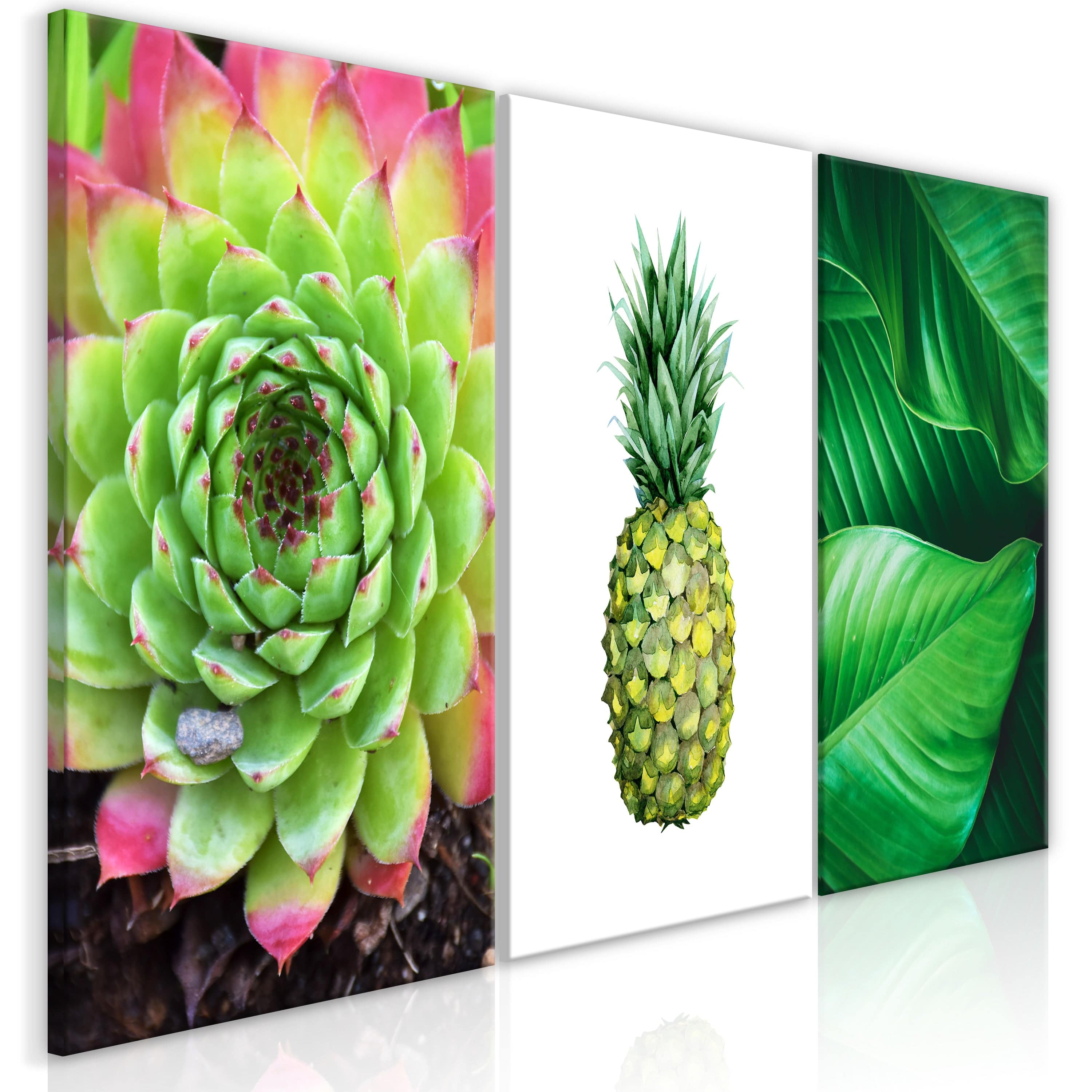 Glezna - Tropu dārgumi (3 daļas) 120x60 Home Trends