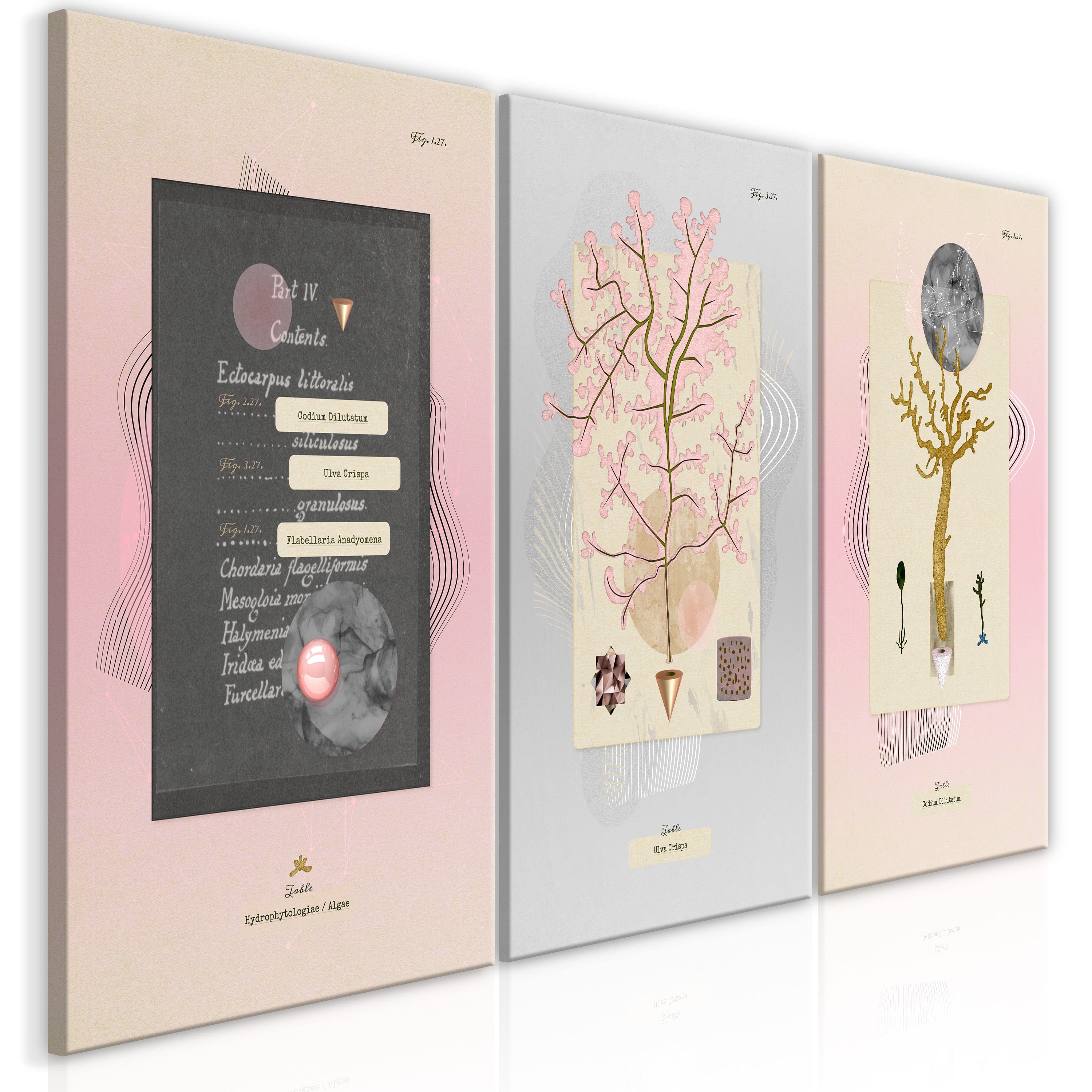 Glezna - Unusual Plants (3 Parts) 120x60 Home Trends