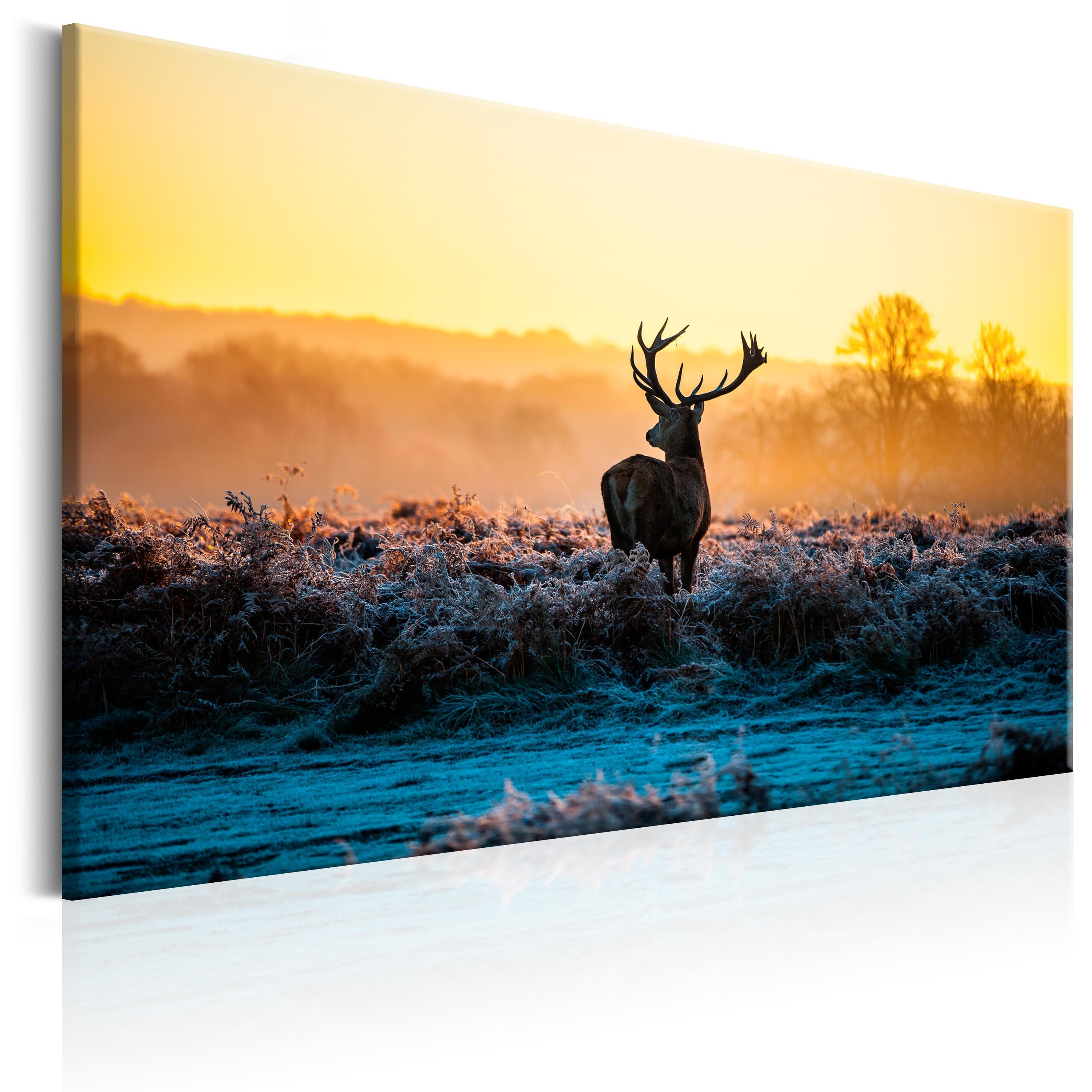 Glezna - Wintertime Home Trends