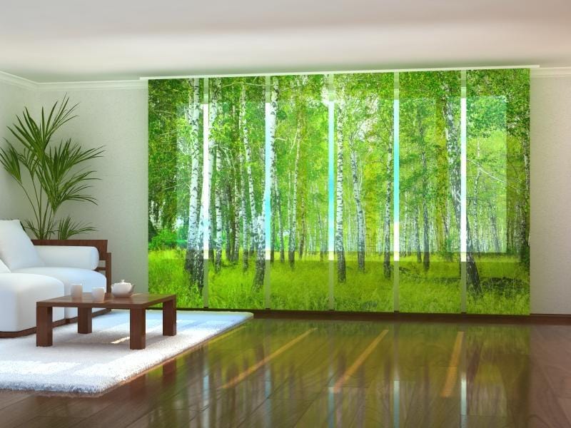 Paneļu aizkari (6 daļas) Birch Grove Screen / 140 / 40 Wellmira