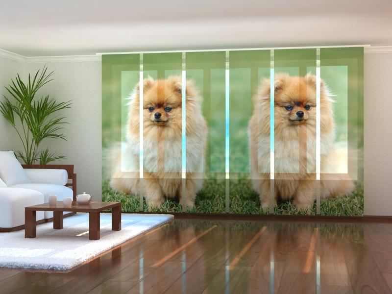 Paneļu aizkari (6 daļas) Brown Pomeranian Dogs Wellmira
