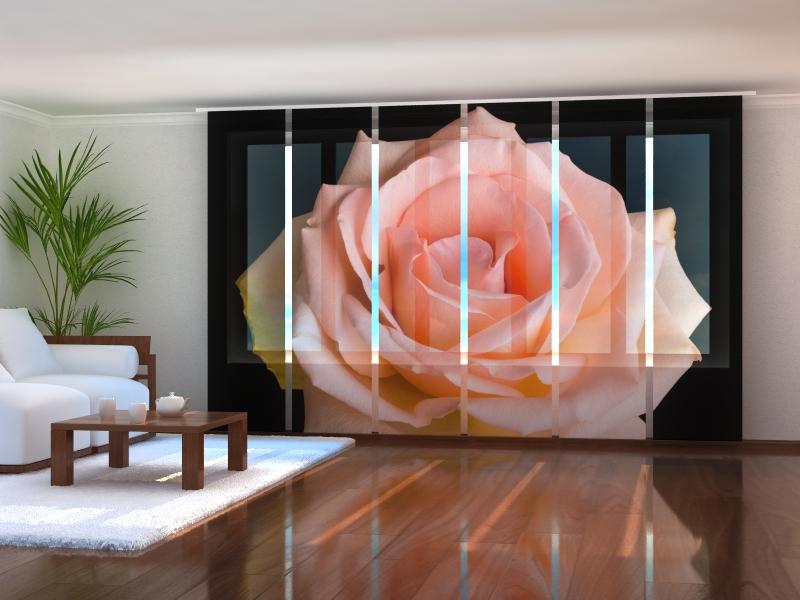 Paneļu aizkari (6 daļas) Peach Rose Home Trends