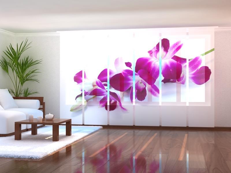 Paneļu aizkari (6 daļas) Purple-Crimson Orchid Screen / 140 / 40 Wellmira