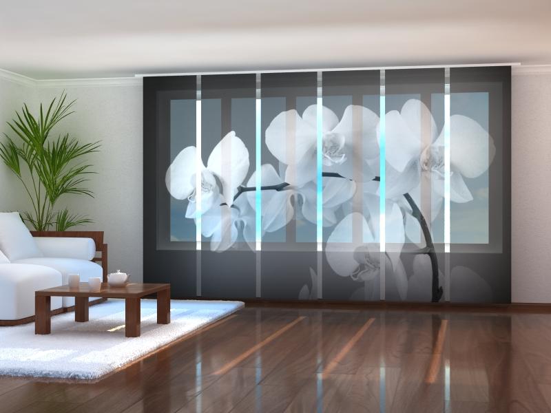 Paneļu aizkari (6 daļas) Songs Orchids Black and White Home Trends