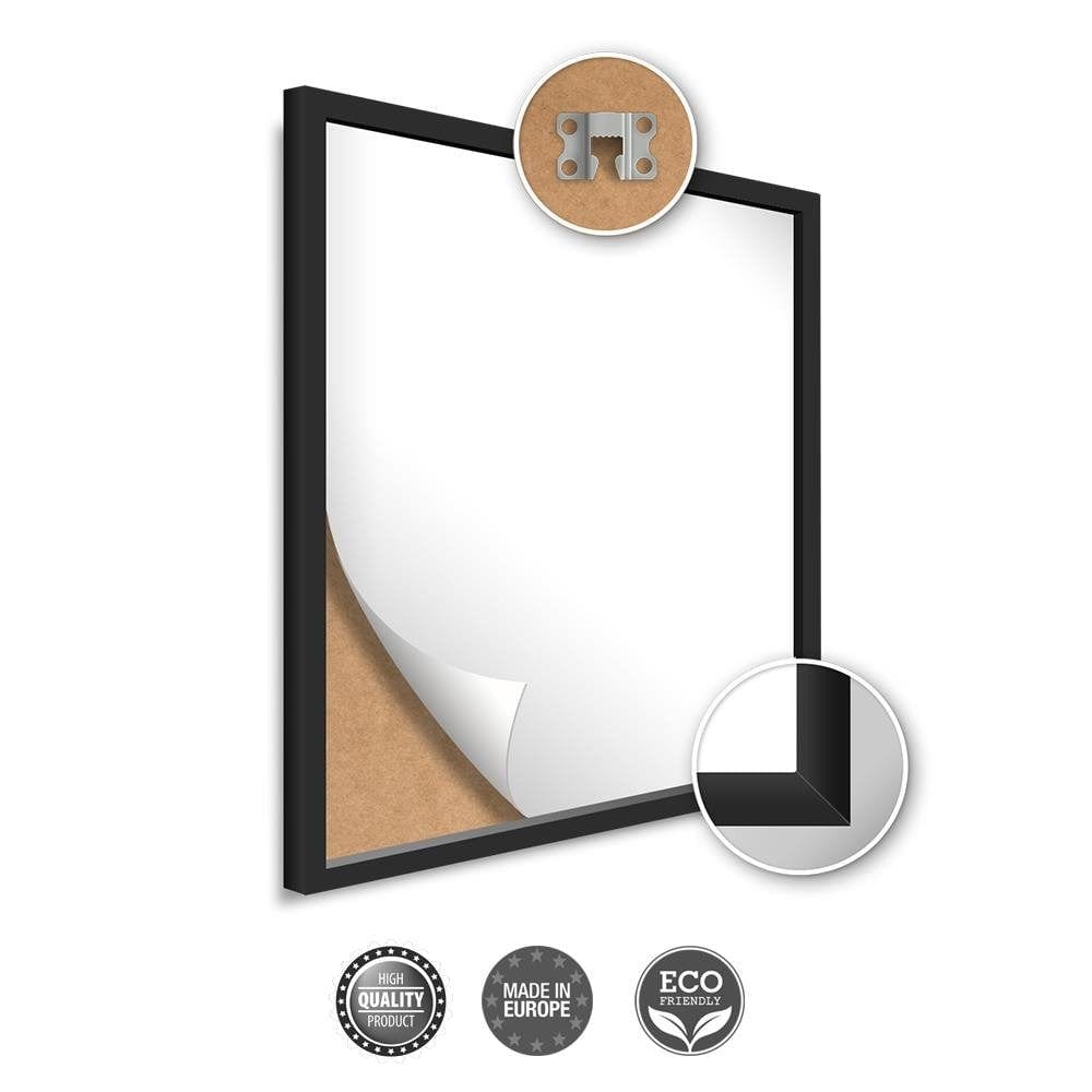 Picture in black frame PANORAMA, Abstraction Flowers  Home Trends