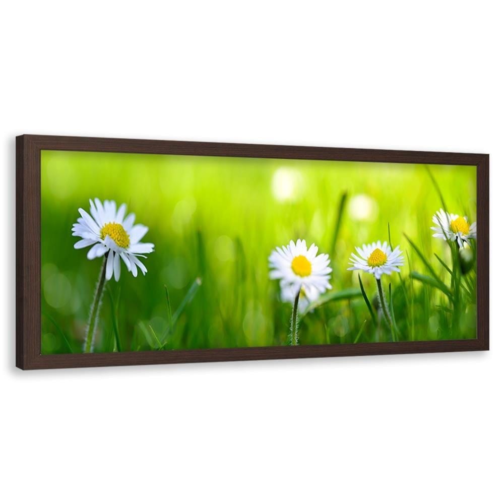 Picture in brown frame PANORAMA, Daisy Flower Home Trends
