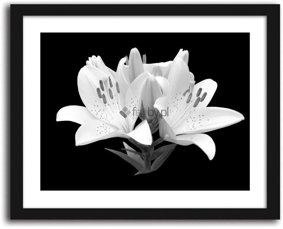 Picture in frame ZERO, Flower cups Home Trends