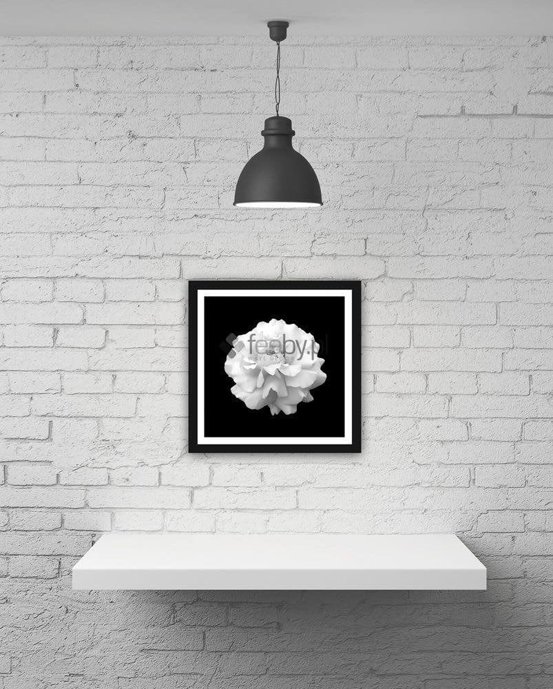 Picture in frame ZERO, Flower Home Trends